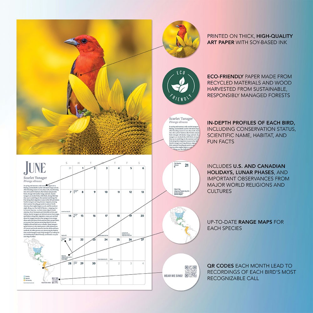 Bird Wall Calendar 2026 | 12″ x 24″ 12 Month Calendar | Marble City Press