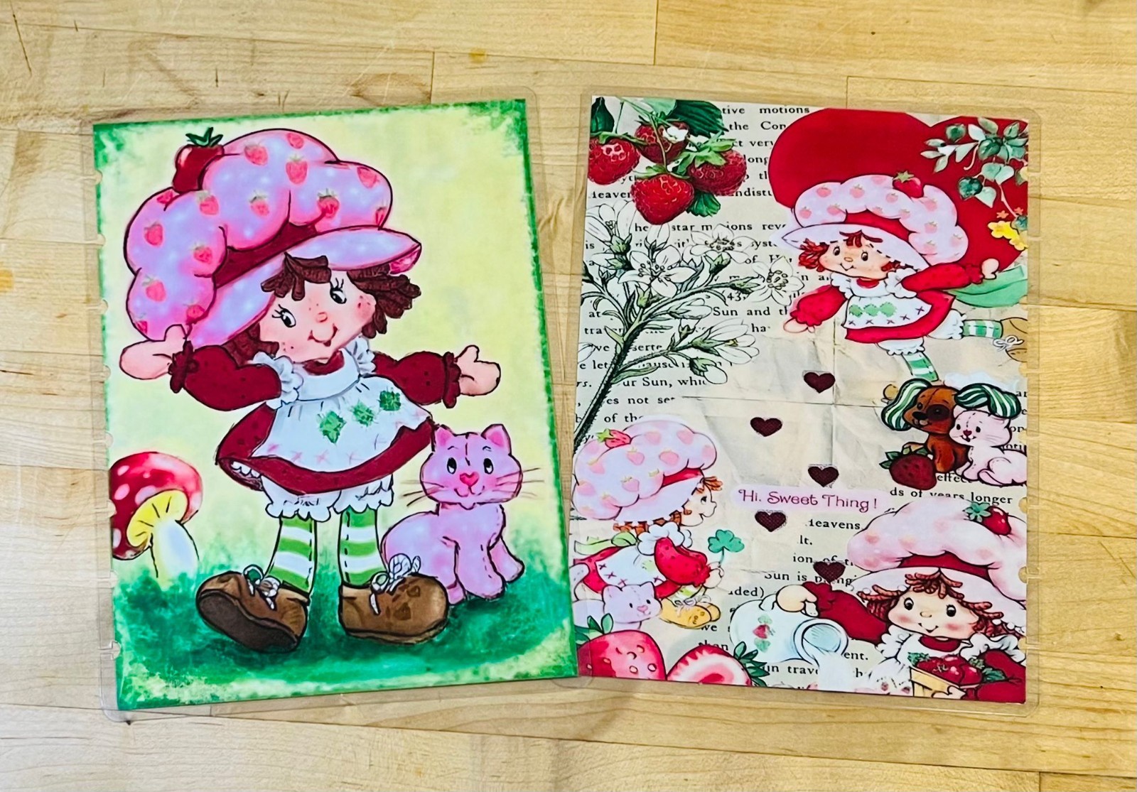 Strawberry Shortcake Retro Vintage Cover Set 4 use w/ TUL/Arc (8 disc) Planner~
