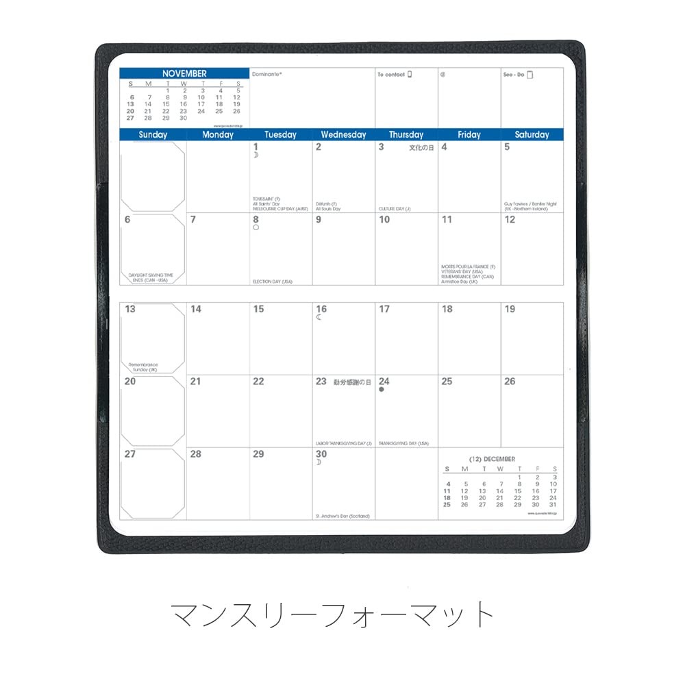 QUO VADIS Planner Diary qv367rechpe