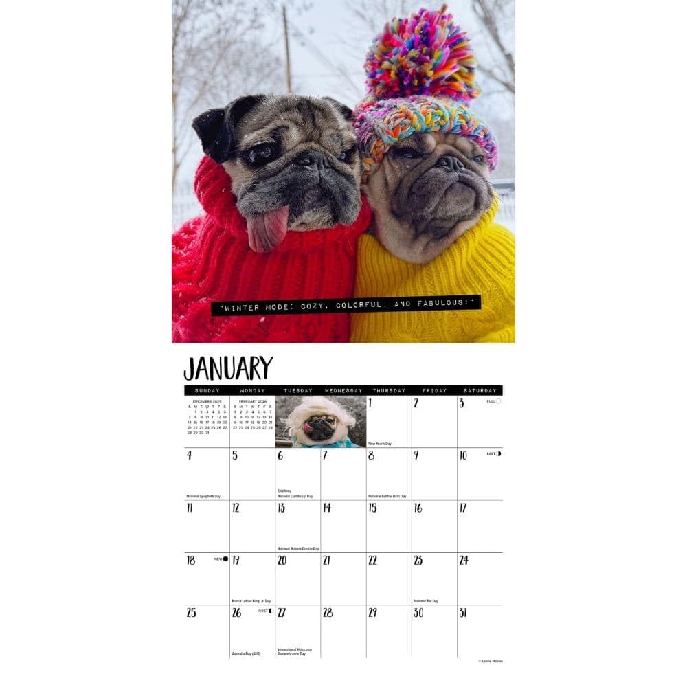 Willow Creek Press, Doug the Pug 2026 Mini Wall Calendar, 7” X 7”, Multi