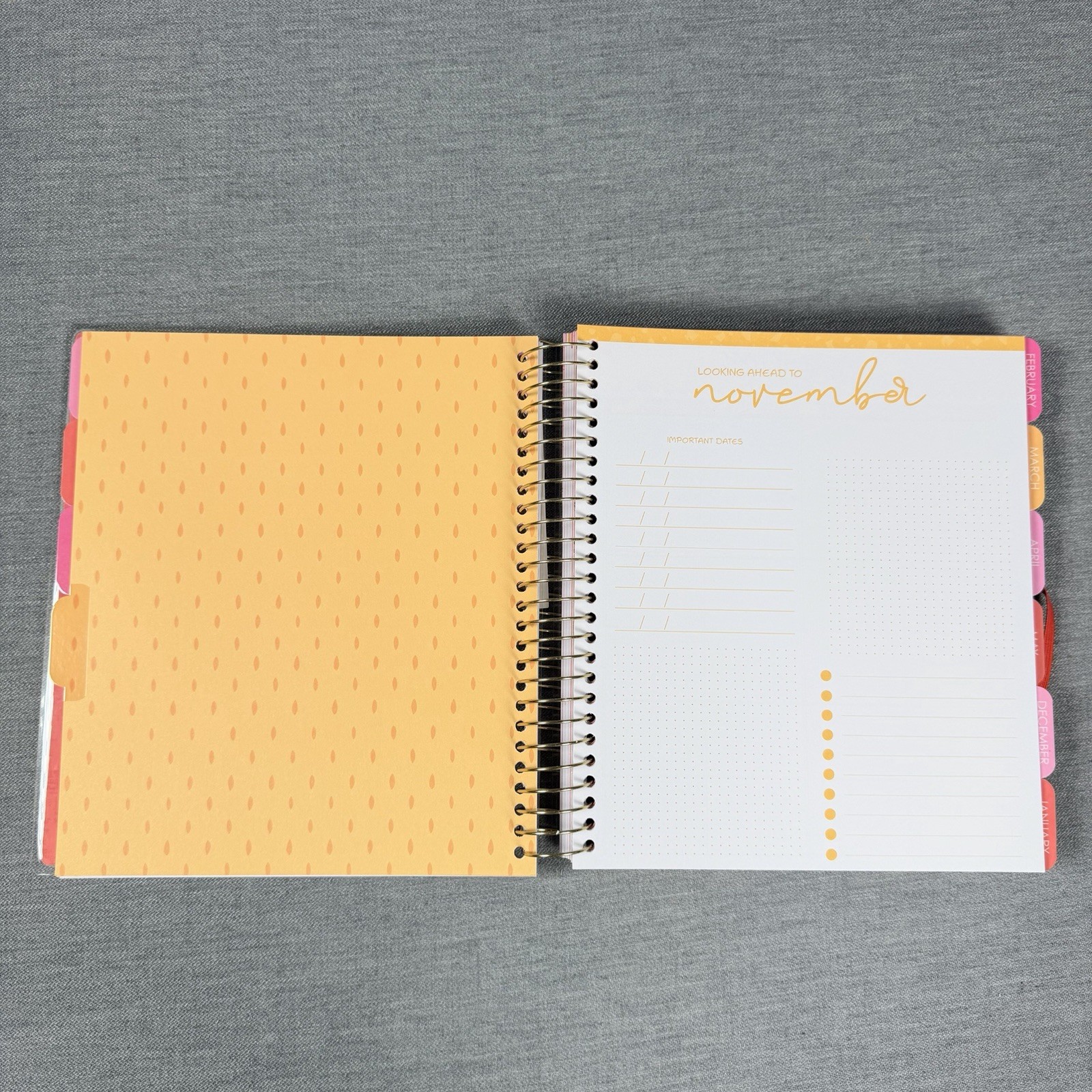 Creative Expert 17 Month Planner AUG 2026 – DEC 2027 Monthly/Weekly Planner