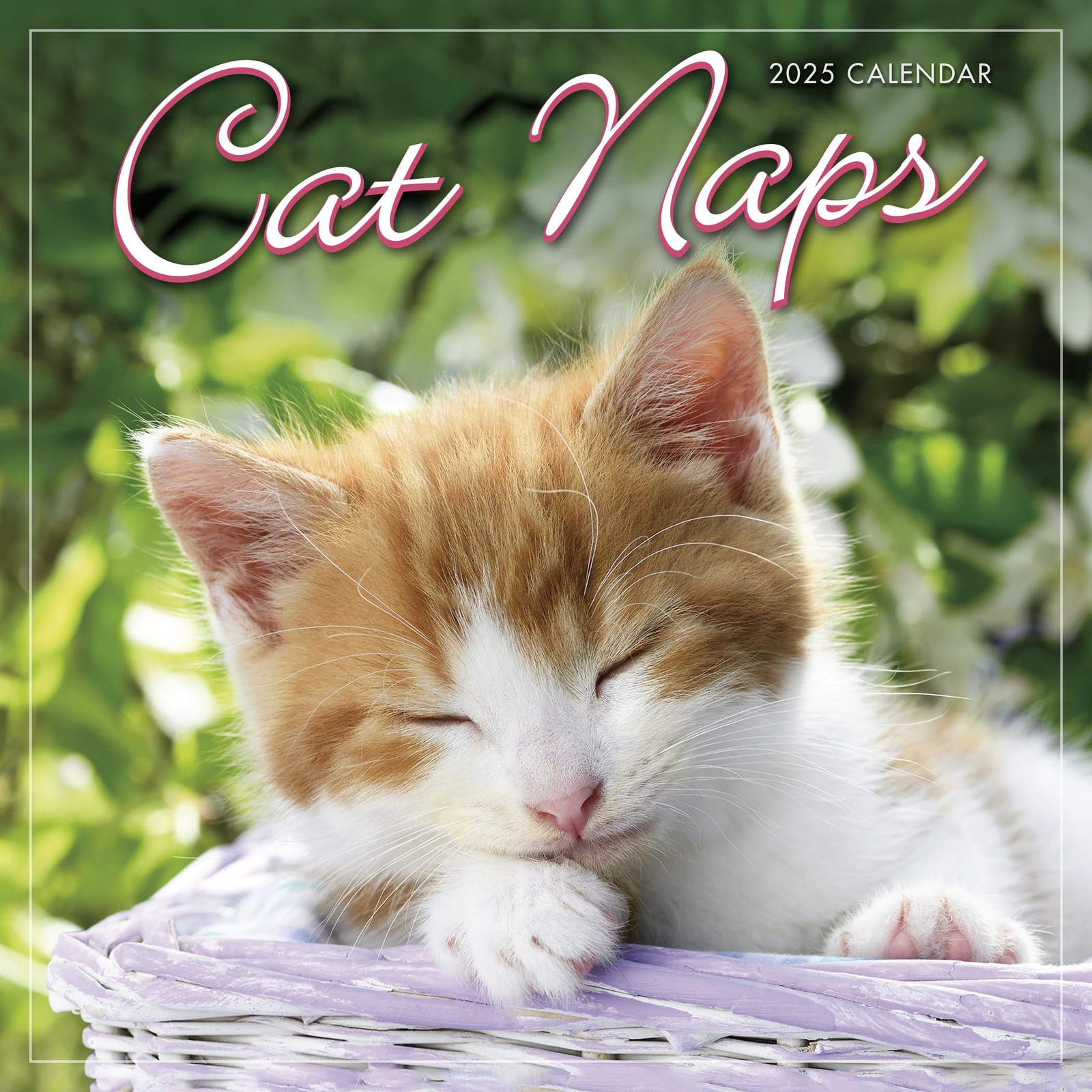 Cat Naps 2025 Mini Calendar, 7″ x 7″W x 7″H,