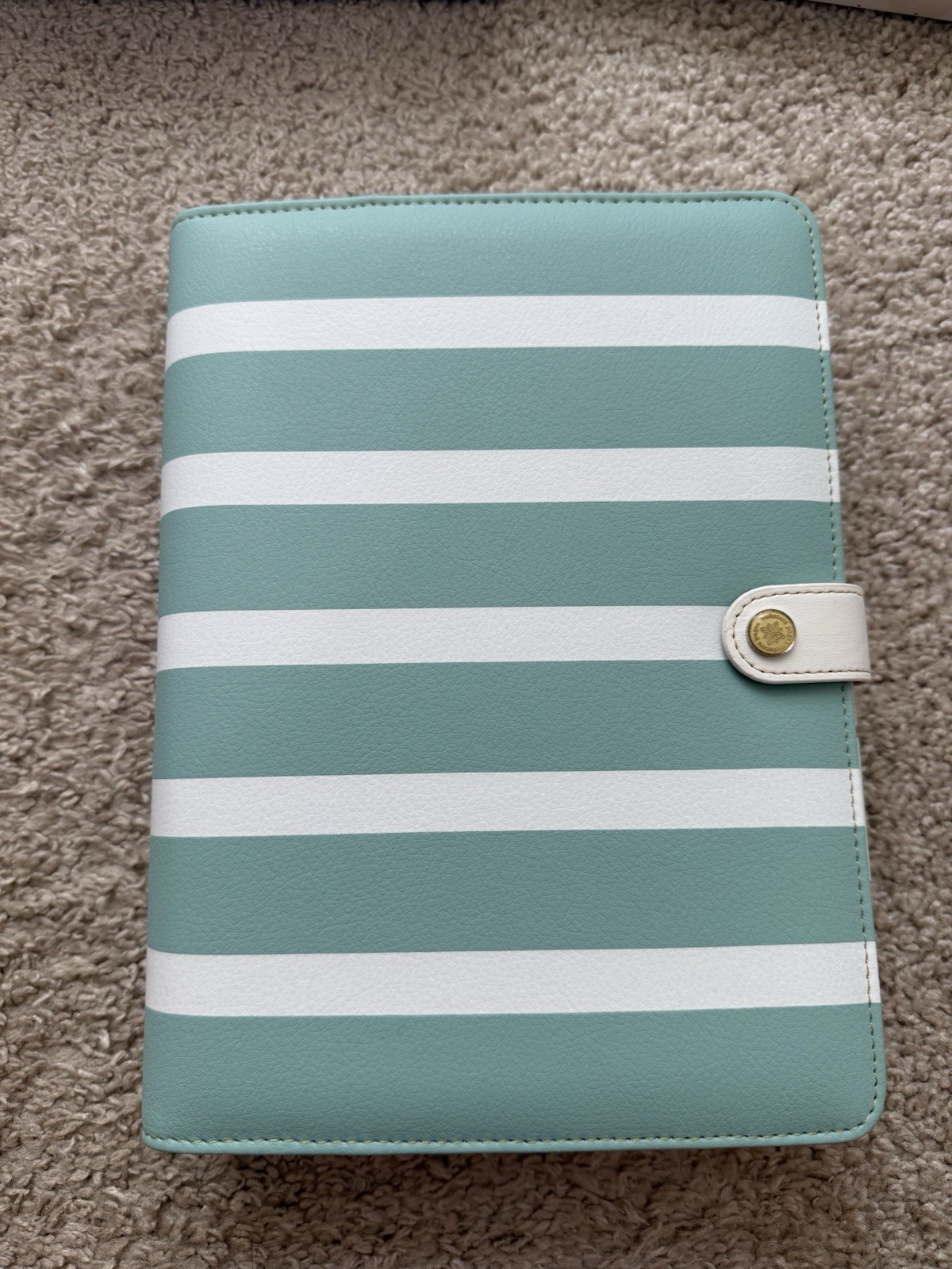 Webster’s Pages Planner, A5 Teal/white Planner Kit, New