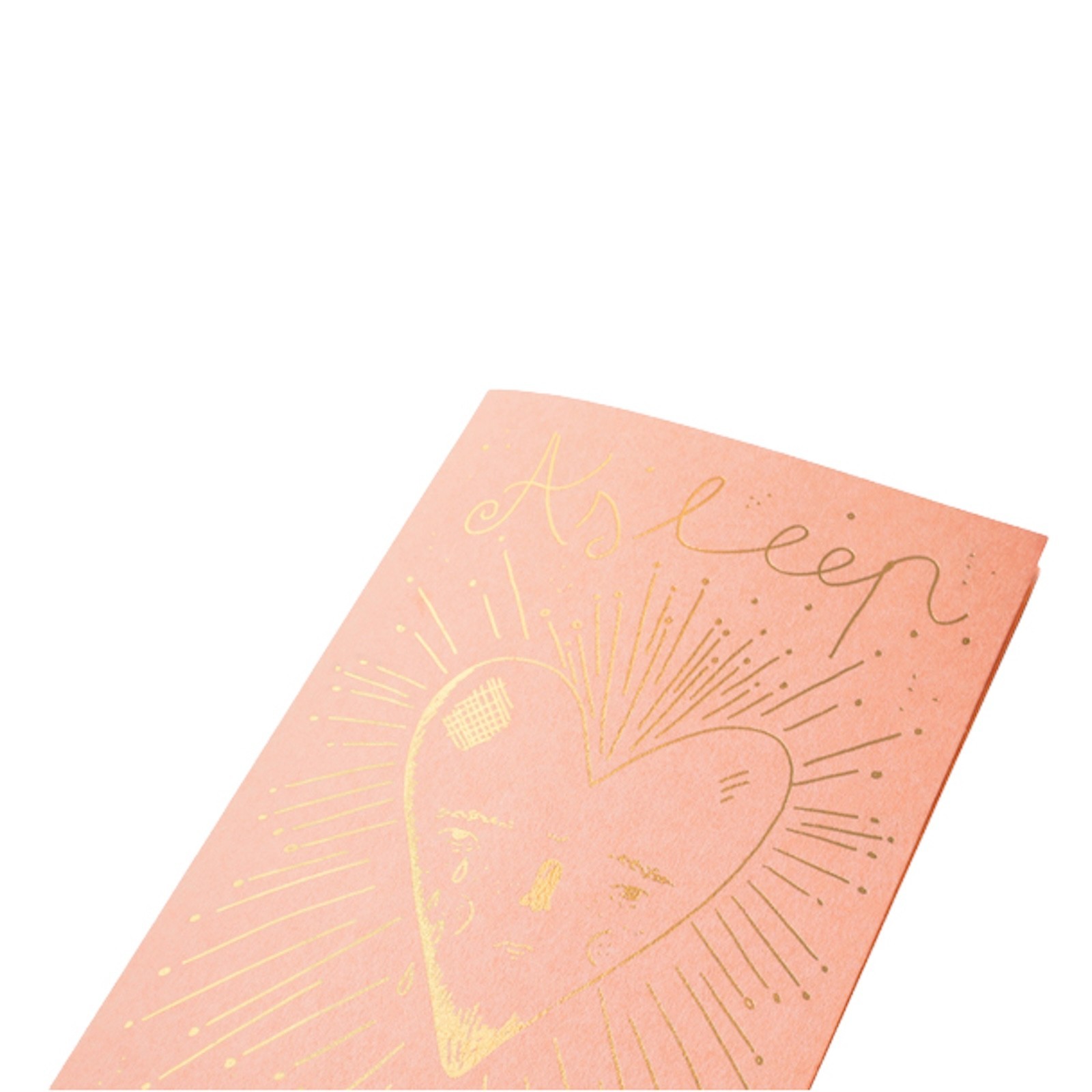 Traveler’s Factory Aitor Saraiba Limited Accordion Refill Notebook Gold Foil Art