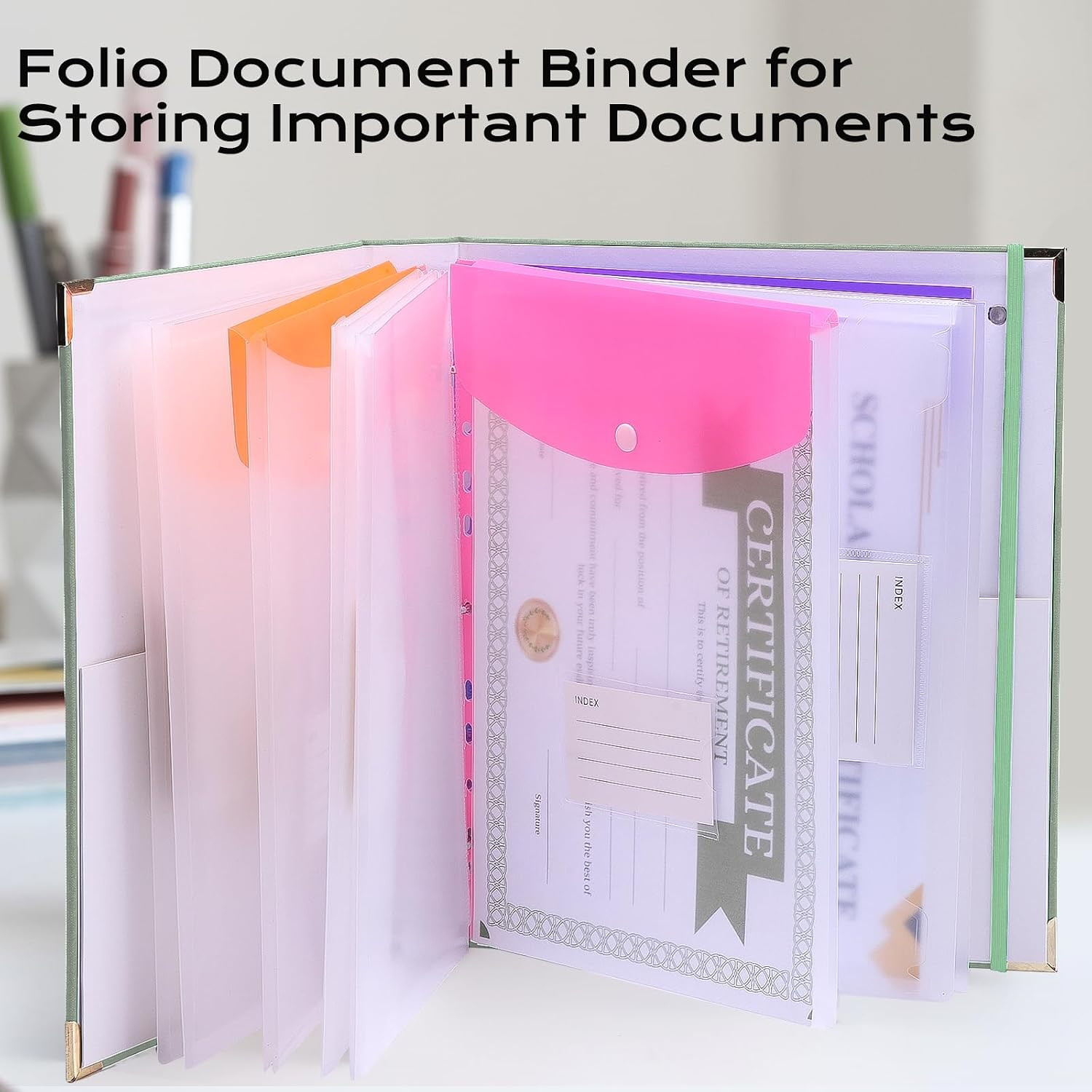 Important Document Organizer with 9 Pockets, Aesthetic Folio Folders 3-Ring Acco