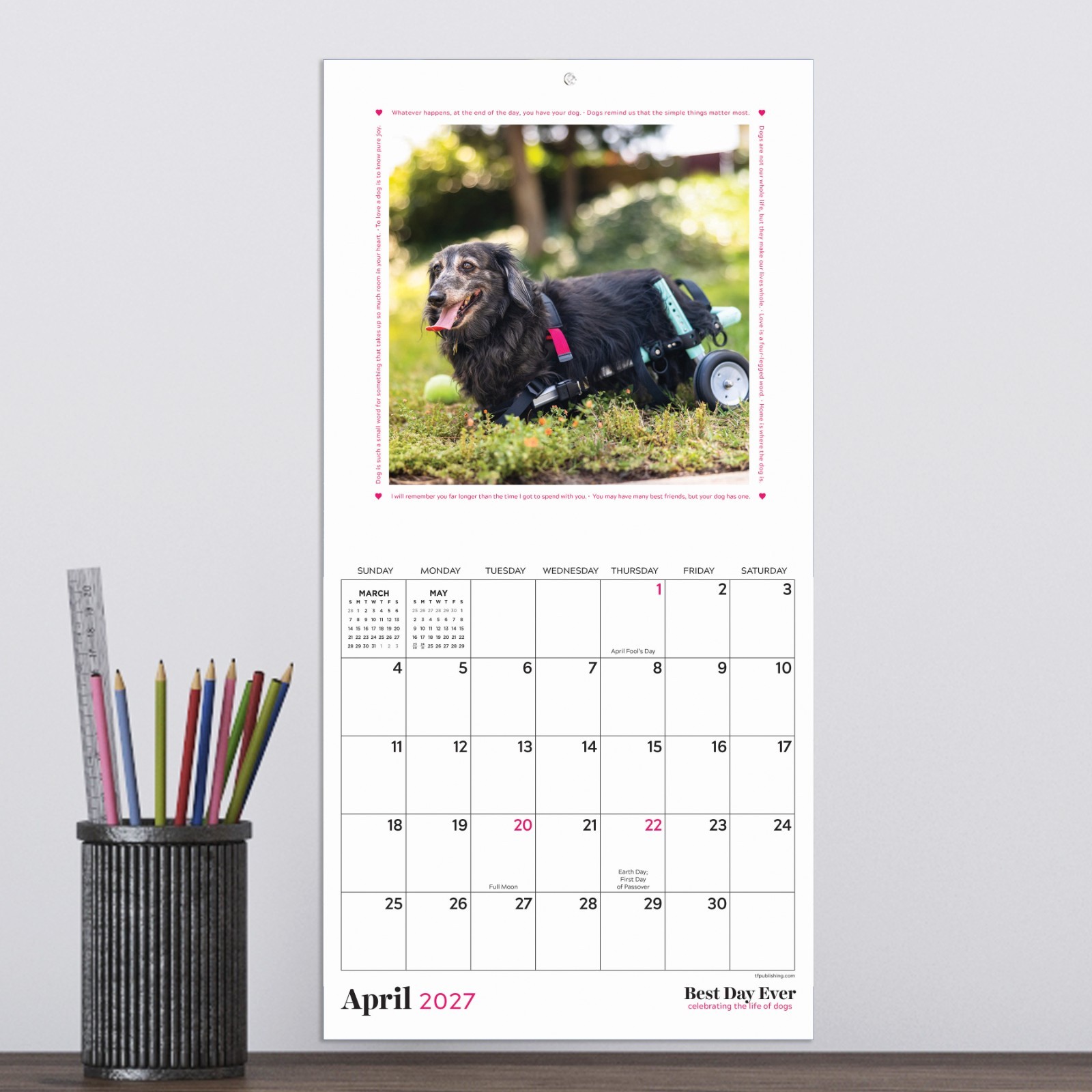 2027 Best Day Ever: Dogs Mini Calendar