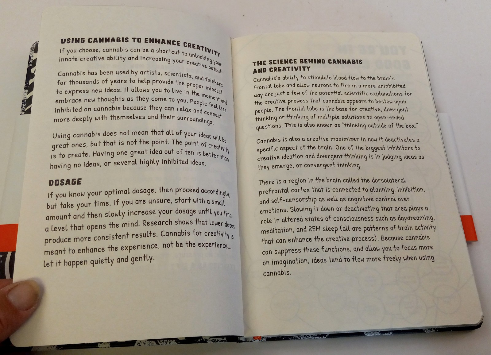 Creative Thinking Journal: Please Use this Journal While High Pilgrim Soul Blank