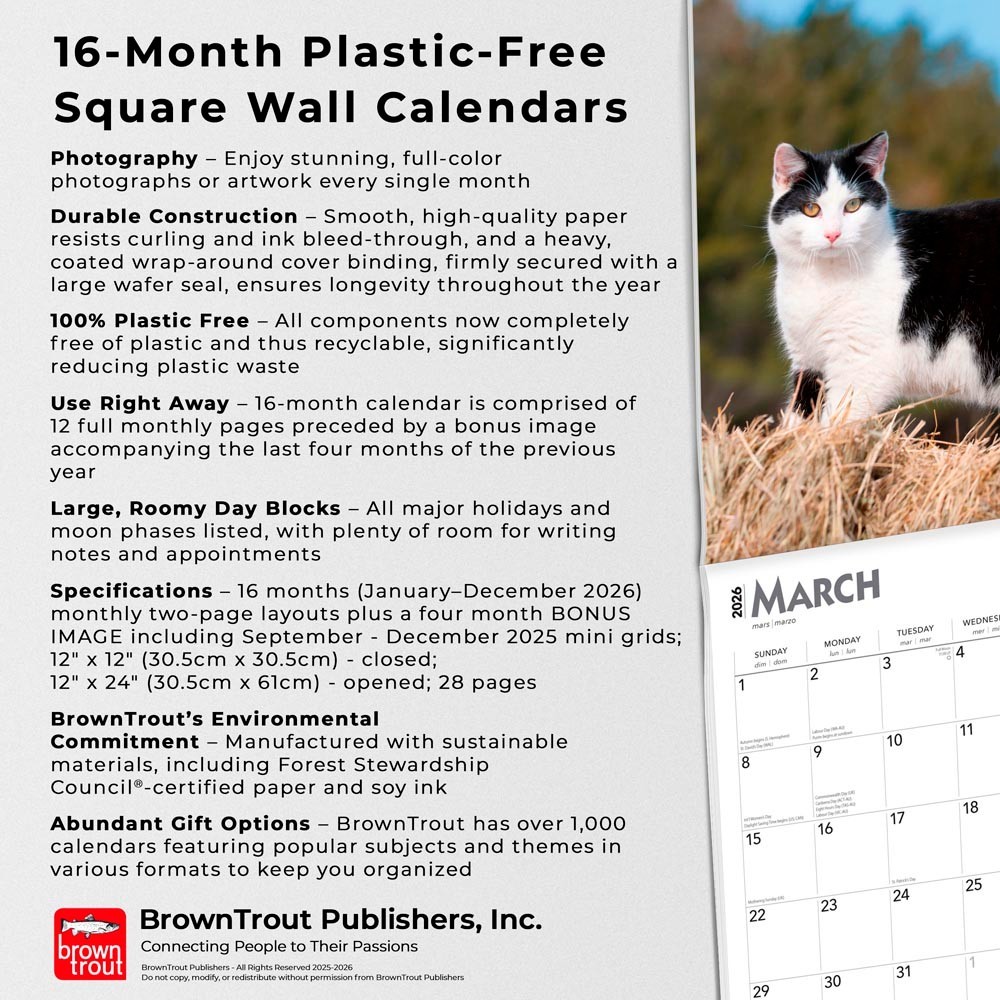 Tuxedo Cats | 2026 12×24″ (Hanging) Monthly Square Wall Calendar | Plastic-Free
