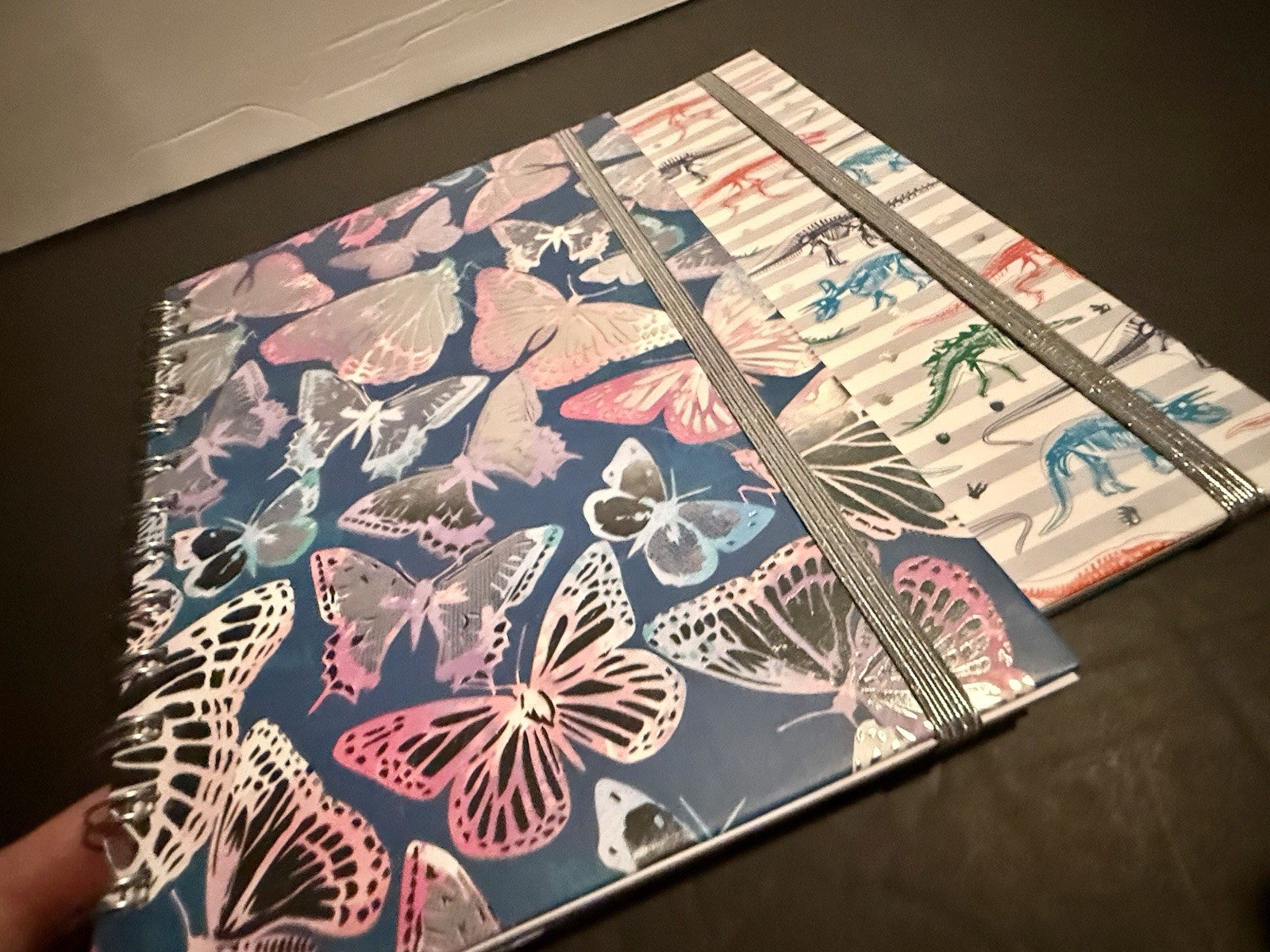 Set of 2 Spiral Journals Butterfly & Dinosaur Lined Notebooks Elastic Band New