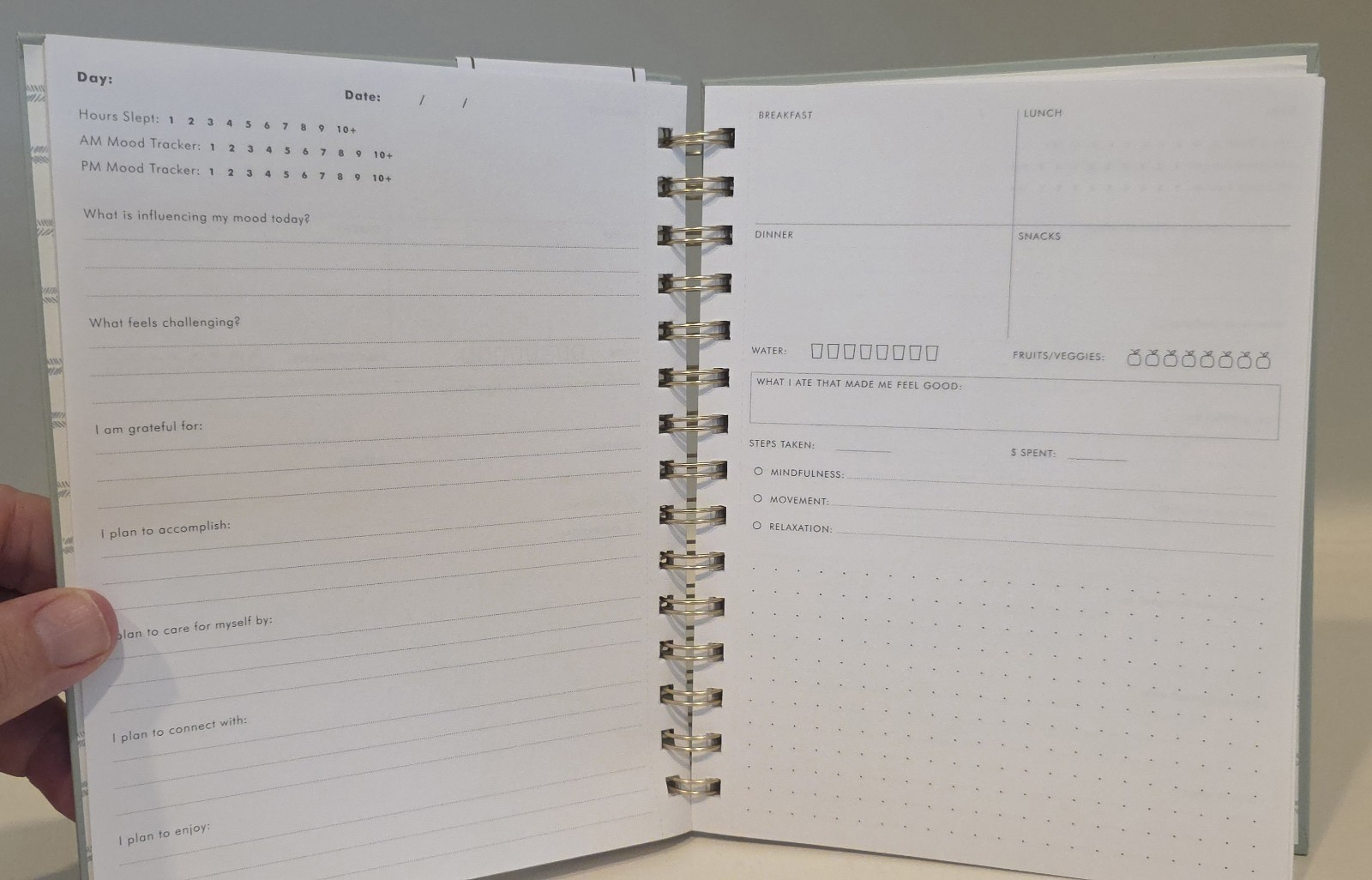 Lot: Everygirl open-dated Planner, Self-Care Notes, BlueSky Notes – Very Good