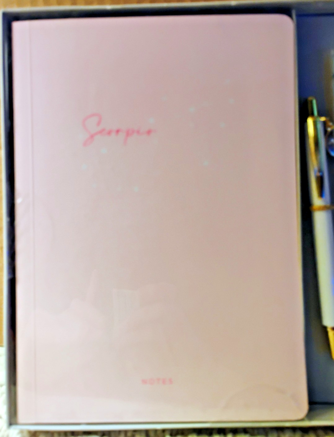 Gartner Studios Scorpio Astrology Casebound Flex Journal Set 5.75×8.125 96 Sheet