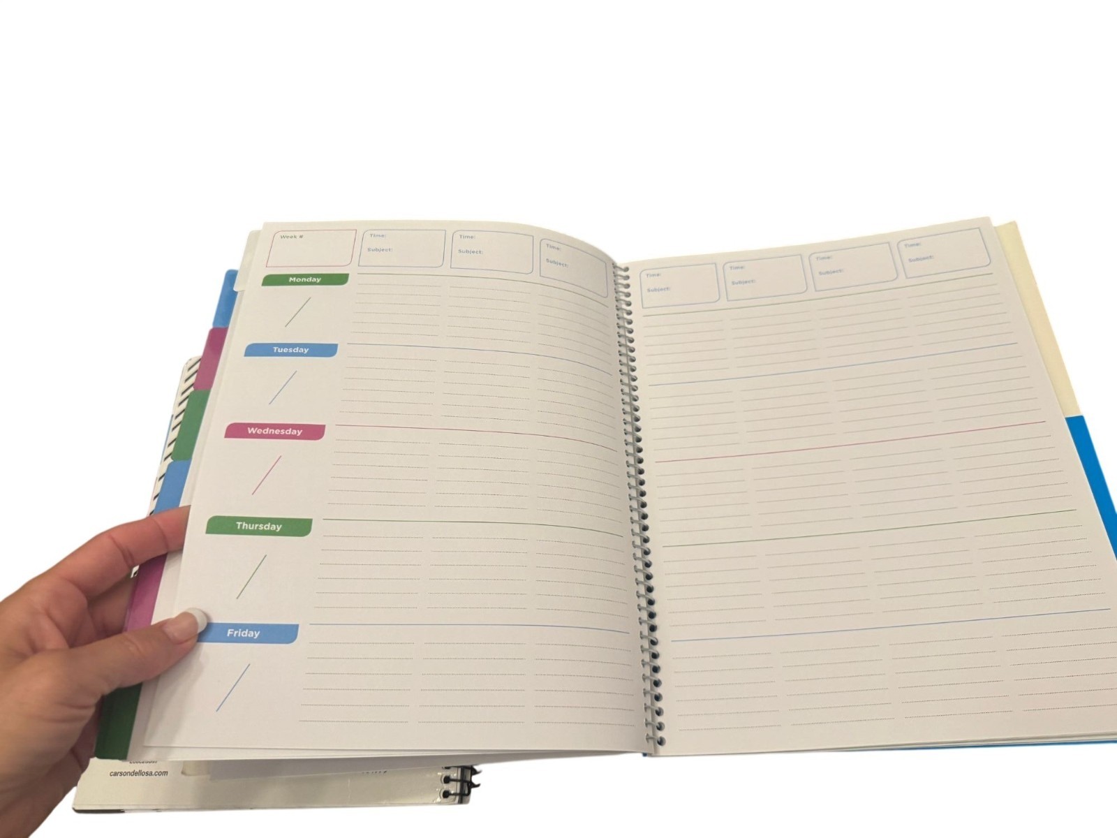 Set of 2 new teacher undated planners “coloring style and kind vibes
