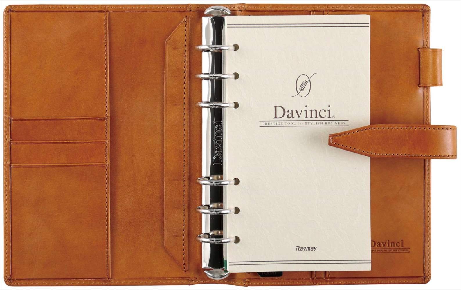 Reimei Fujii System Planner Da Vinci Roroma Classic Bible Dark Brown DB3014E