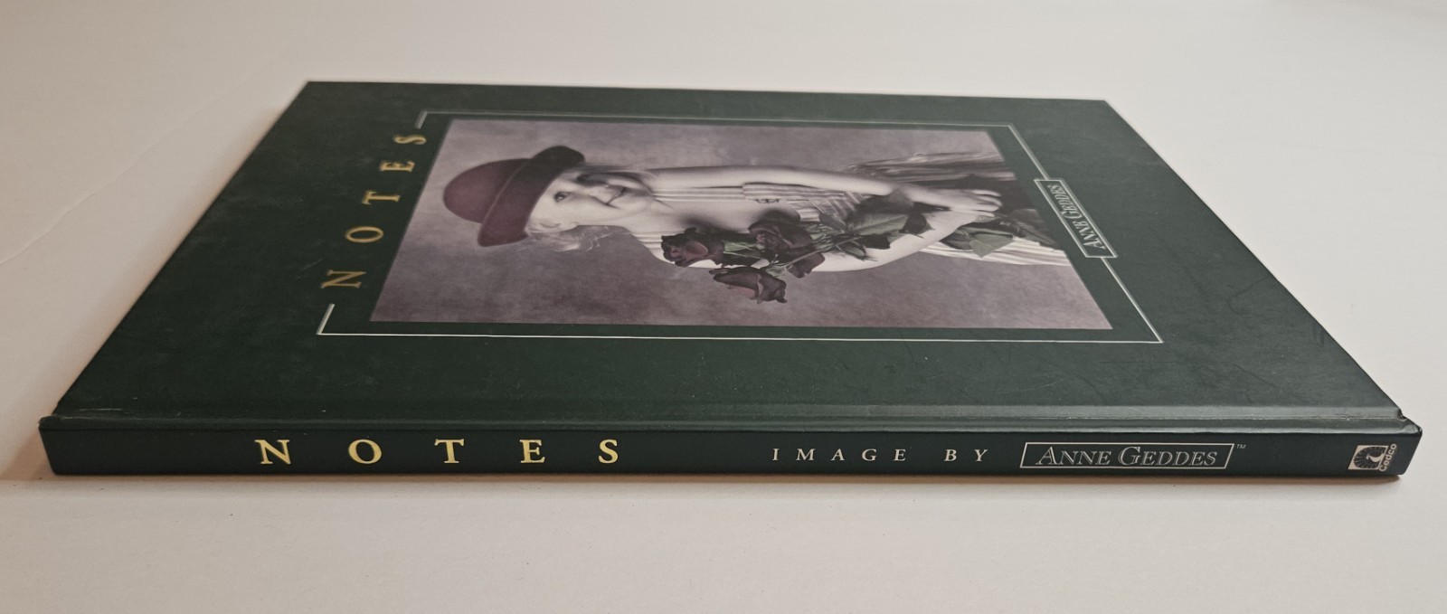 Anne Geddes Notebook Journal – Baby Holding Roses UnRuled Blank Pages 1996