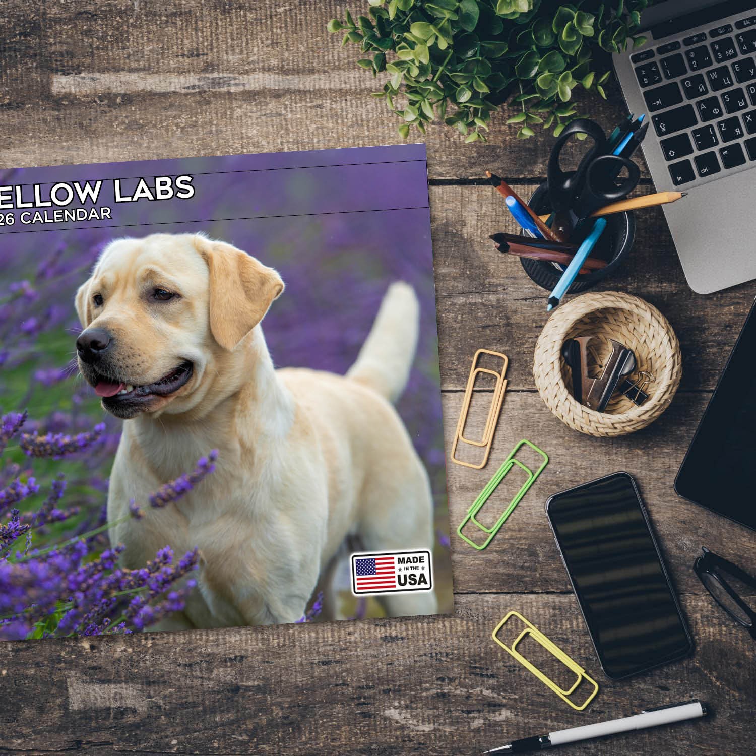 Yellow Labrador Calendar 2025 – Dog Breed Wall Calendar – Made in the USA!