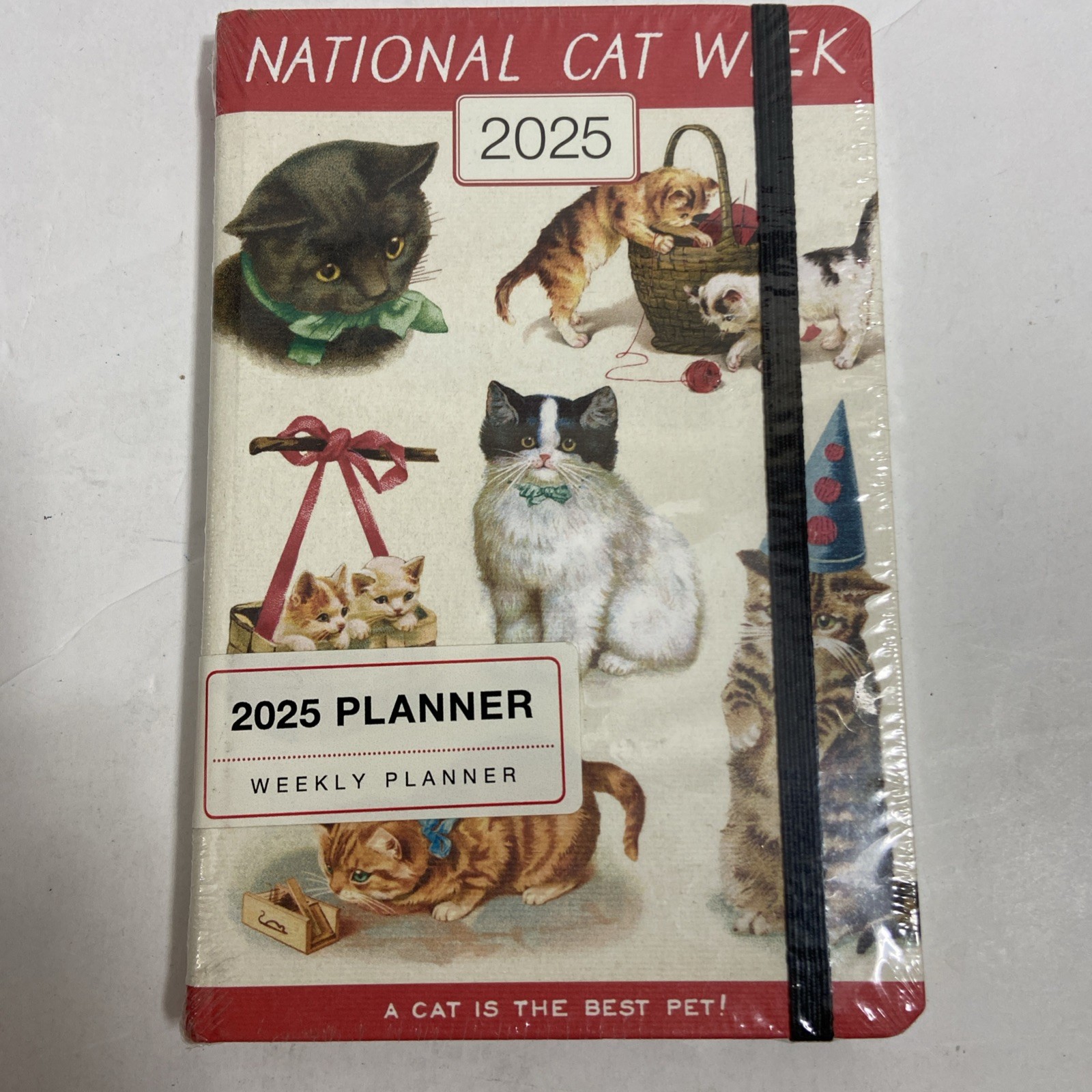 Cavallini & Co. Cats 2025 Pocket Weekly Planner, 4″x6″- New👍👍