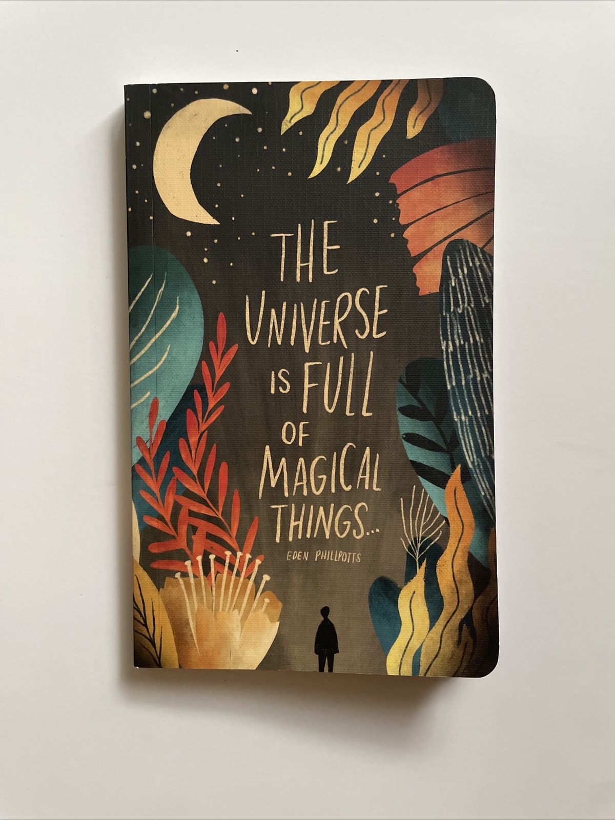 Write Now Journal by Compendium – “The Universe is Full of Magical Things…”