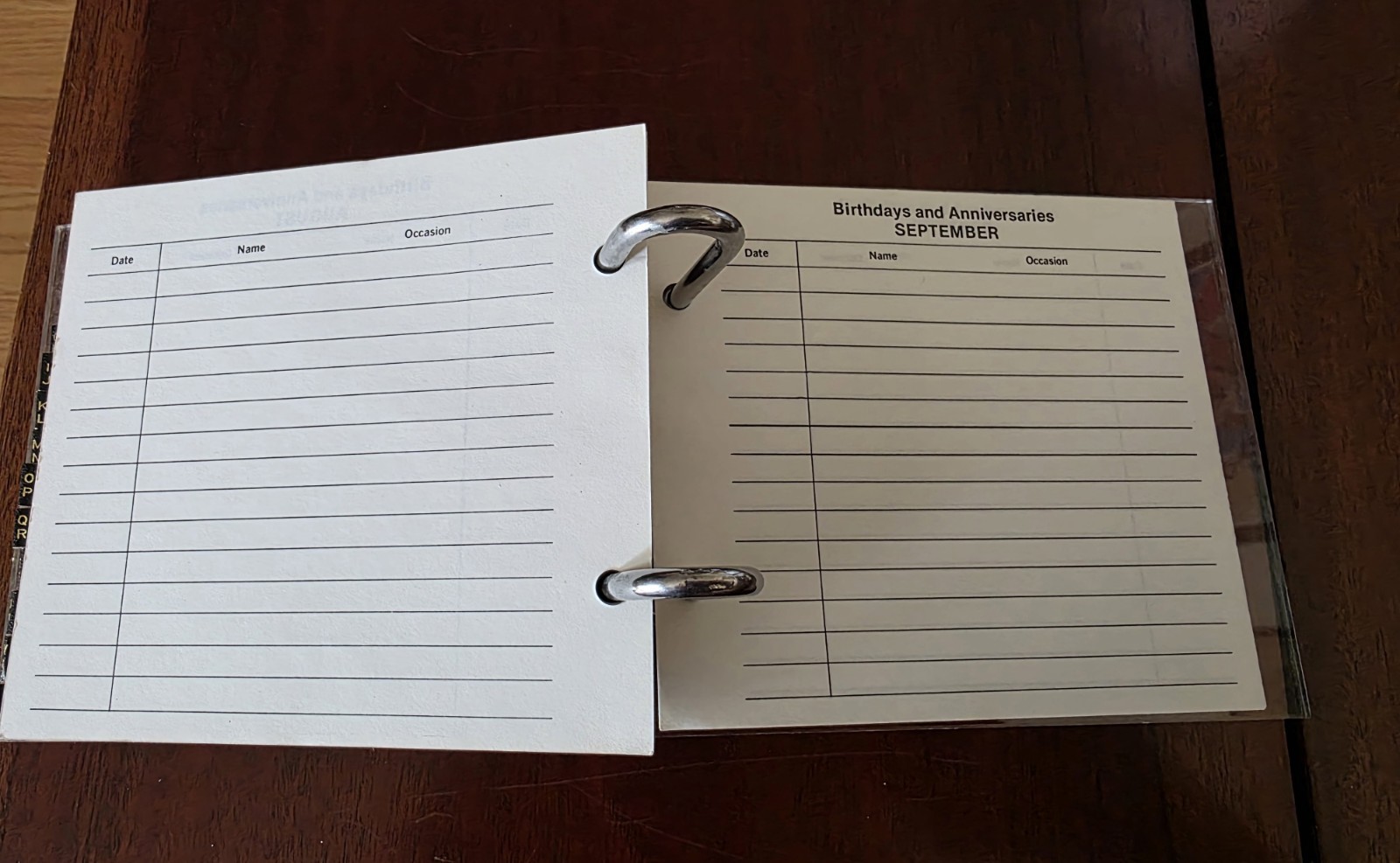 Vintage Equestrian Horse Acrylic Address Book Phone Binder Unused