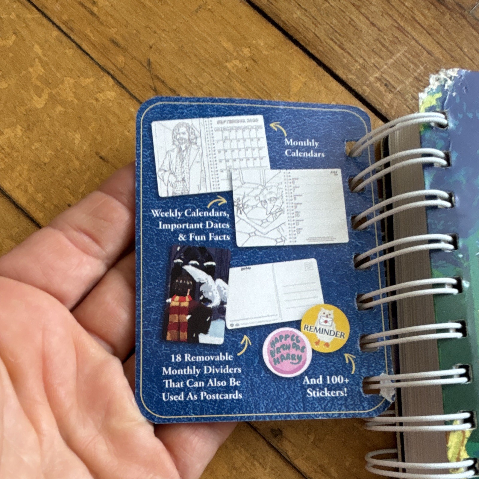Thunder Bay Press Harry Potter Magical Moments Weekly/Monthly Planner 2025-2026