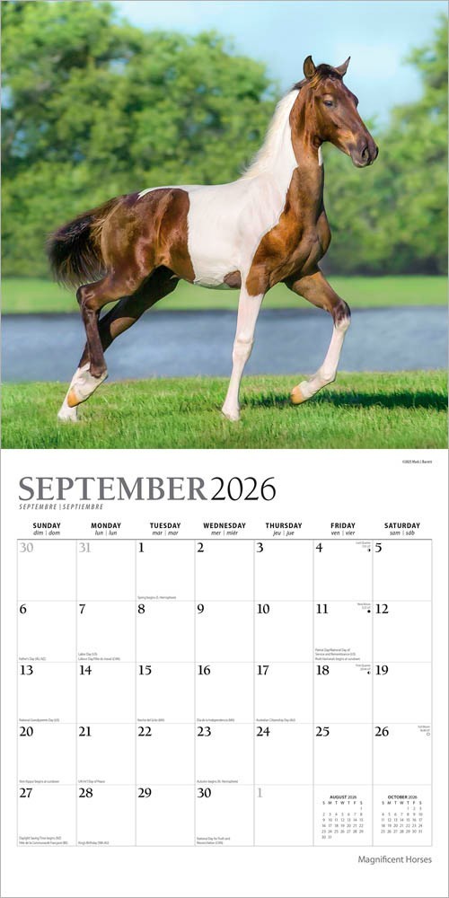 Magnificent Horses | 2026 12×24″ (Hanging) Monthly Square Wall Calendar