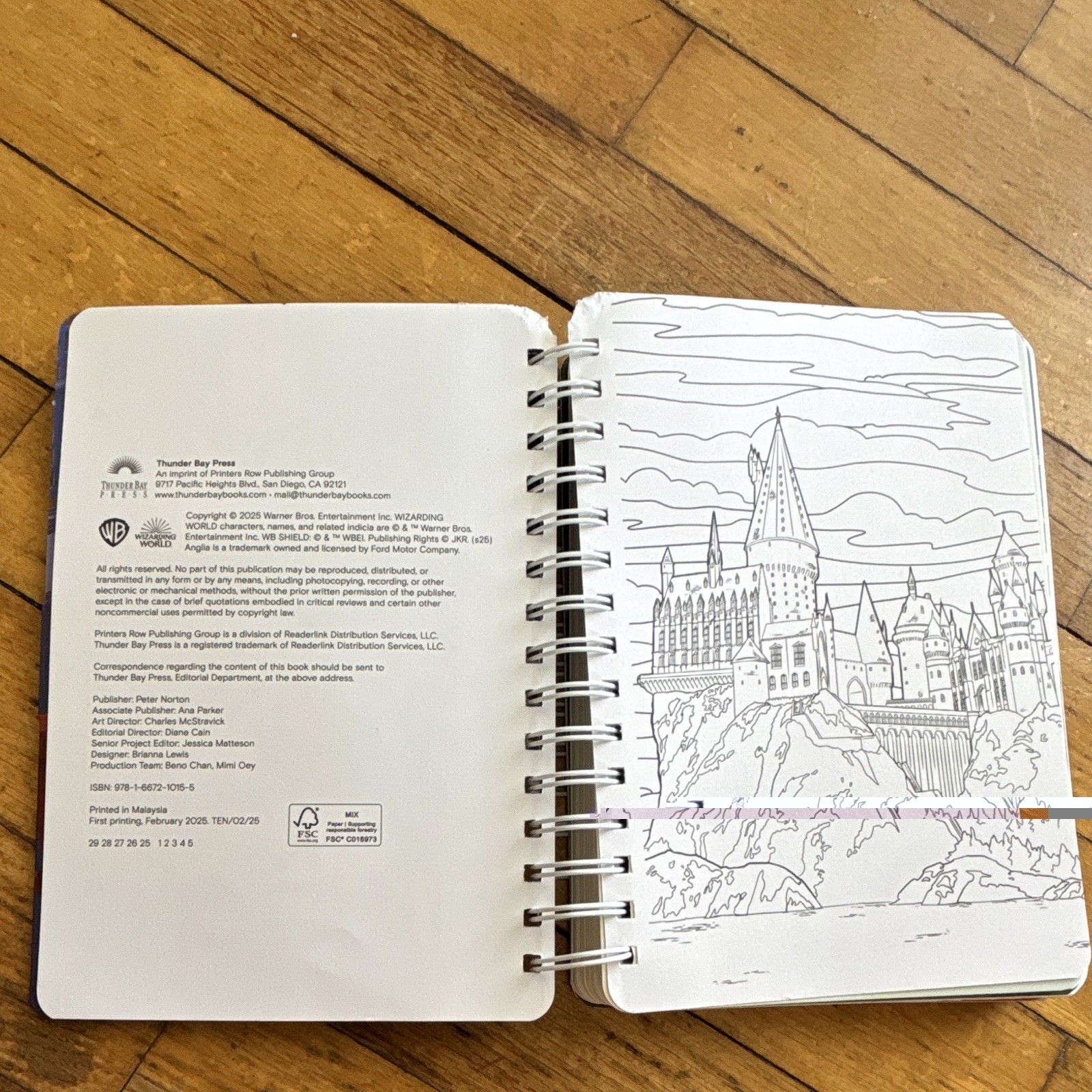 Thunder Bay Press Harry Potter Magical Moments Weekly/Monthly Planner 2025-2026