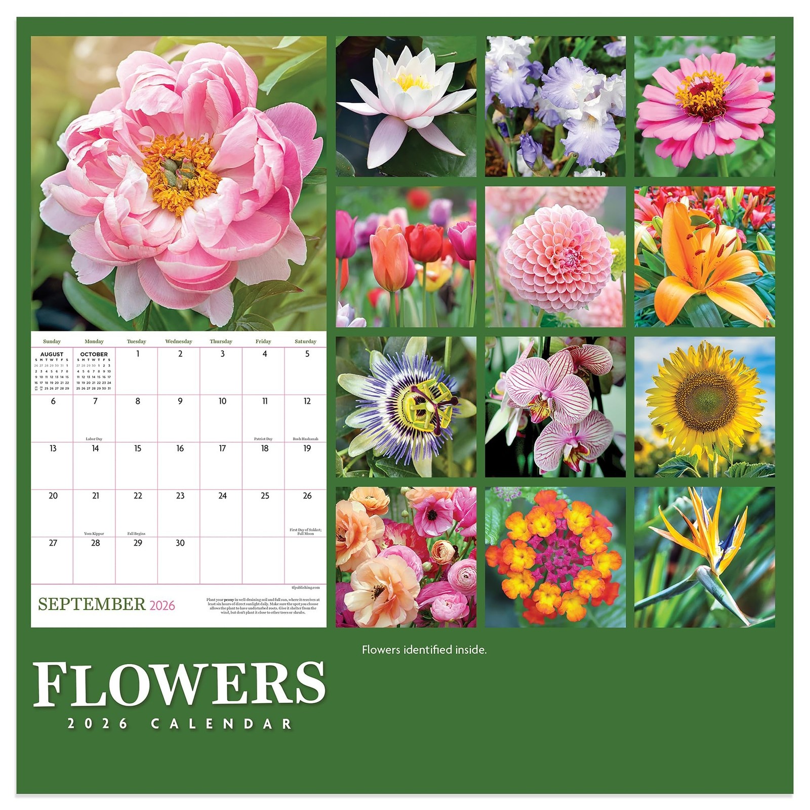 TF Publishing 2026 Flowers Mini Calendar with Monthly Grids for Appointments …