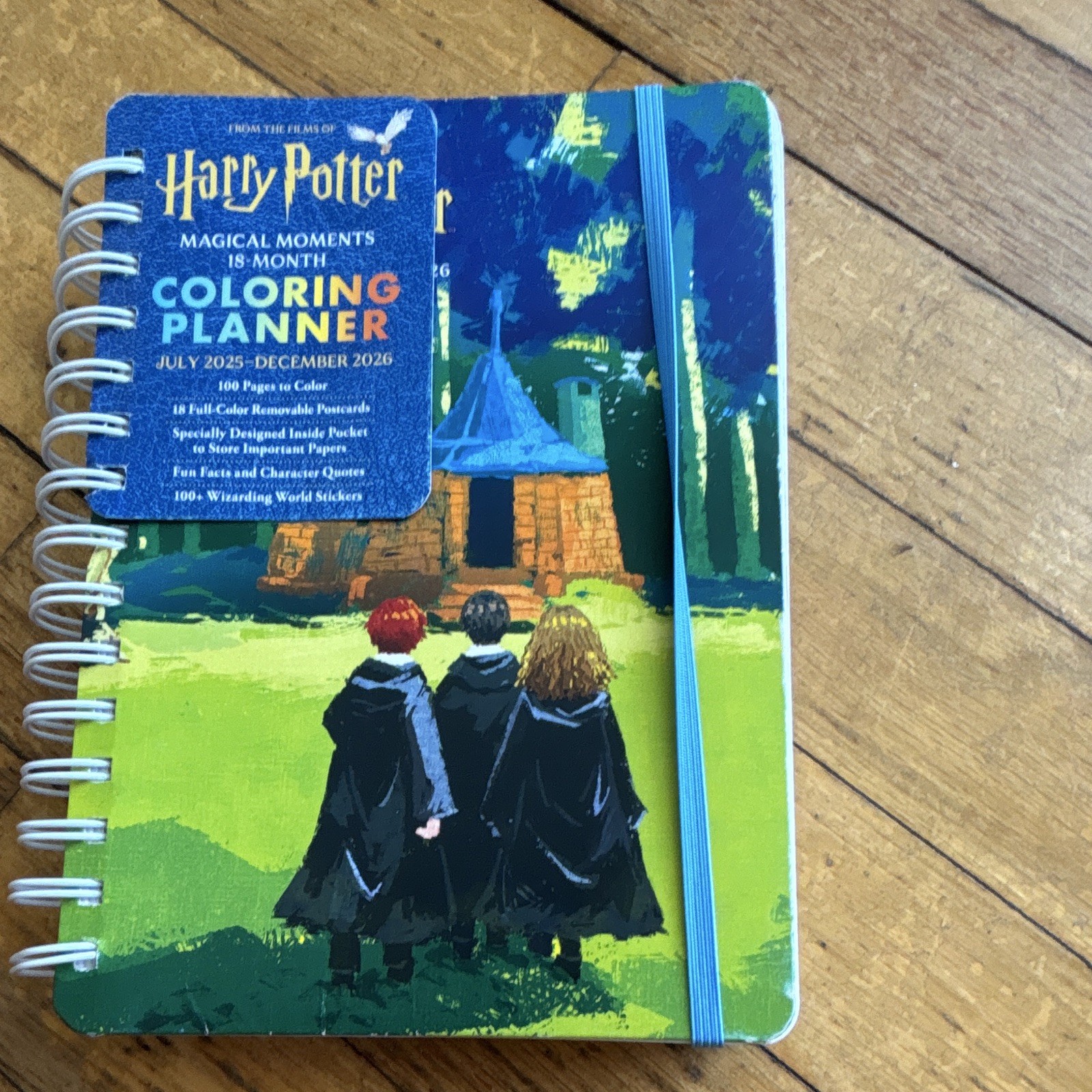 Thunder Bay Press Harry Potter Magical Moments Weekly/Monthly Planner 2025-2026