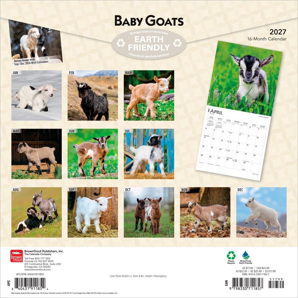 Baby Goats | 2027 12×24″ (Hanging) Monthly Square Wall Calendar | Plastic-Free