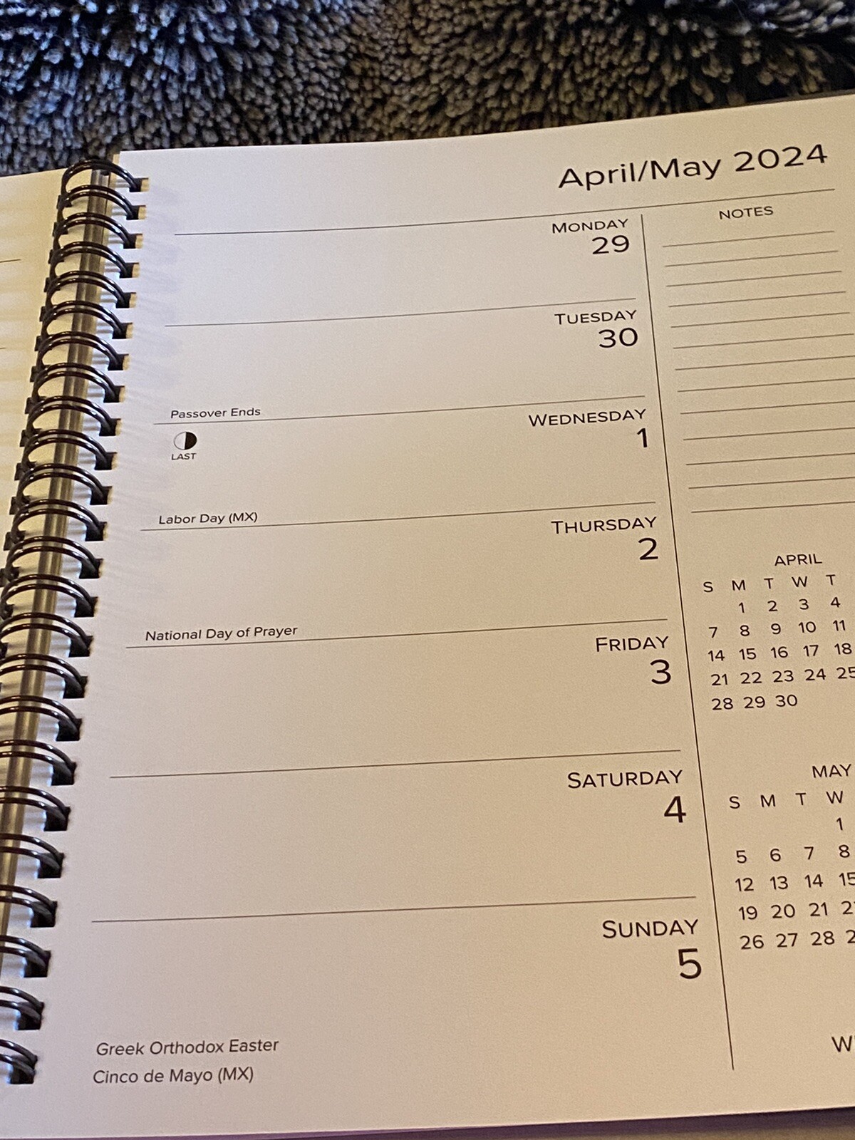 Crusoe the Celebrity Dachshund 2024 6.5″ x 8.5″ Engagement Calendar