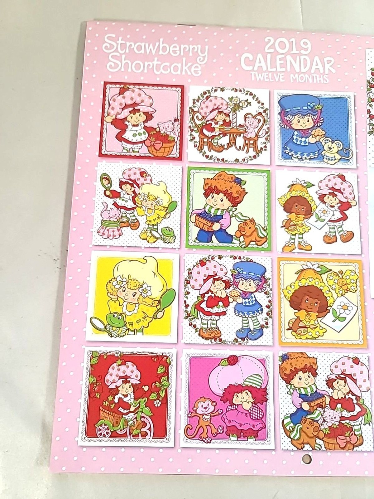 2019 Strawberry Shortcake 12 Month Wall Calendar ( Open) NOS