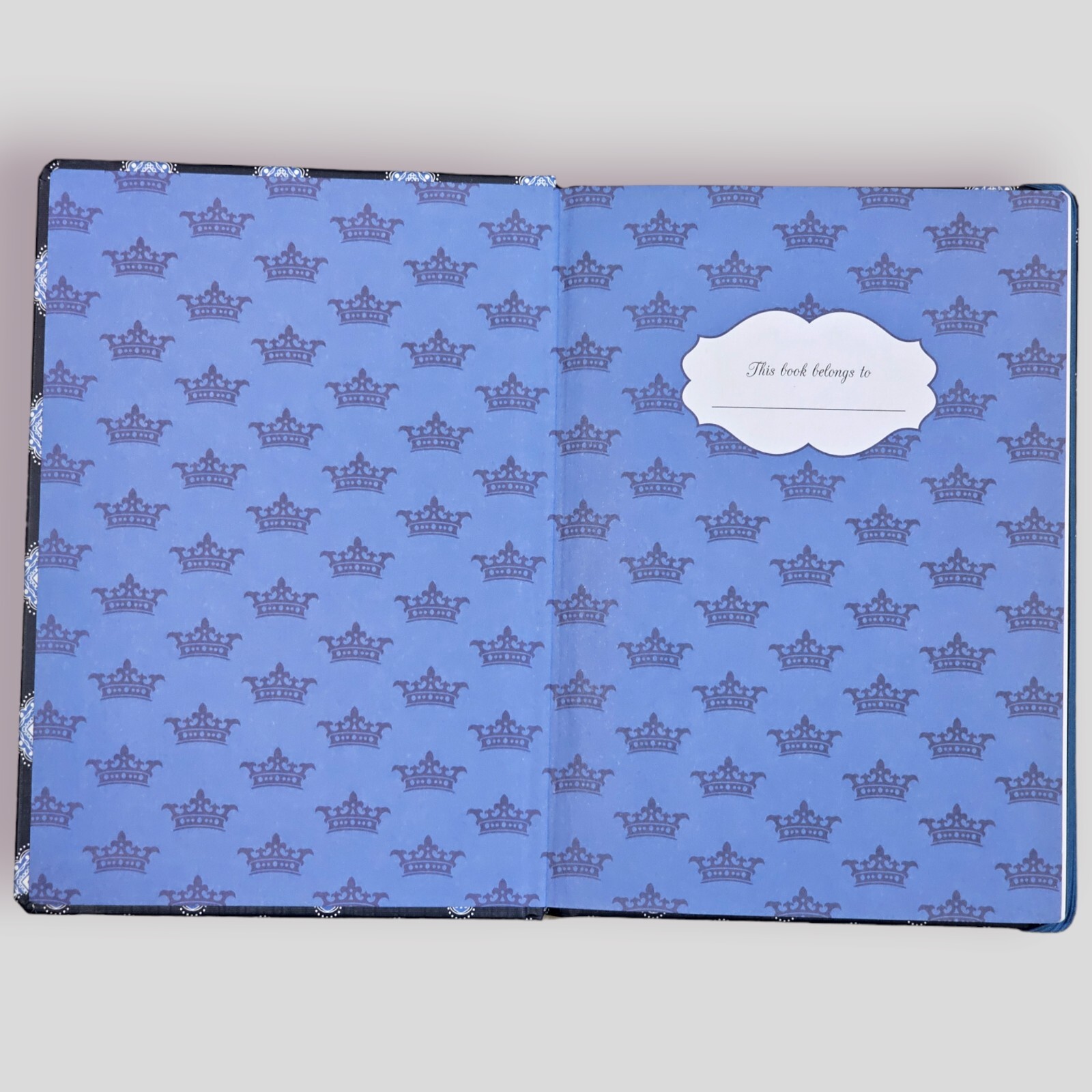 Hardcover Journal Diary Notebook Be Nice Work Hard Blue Elastic Closure