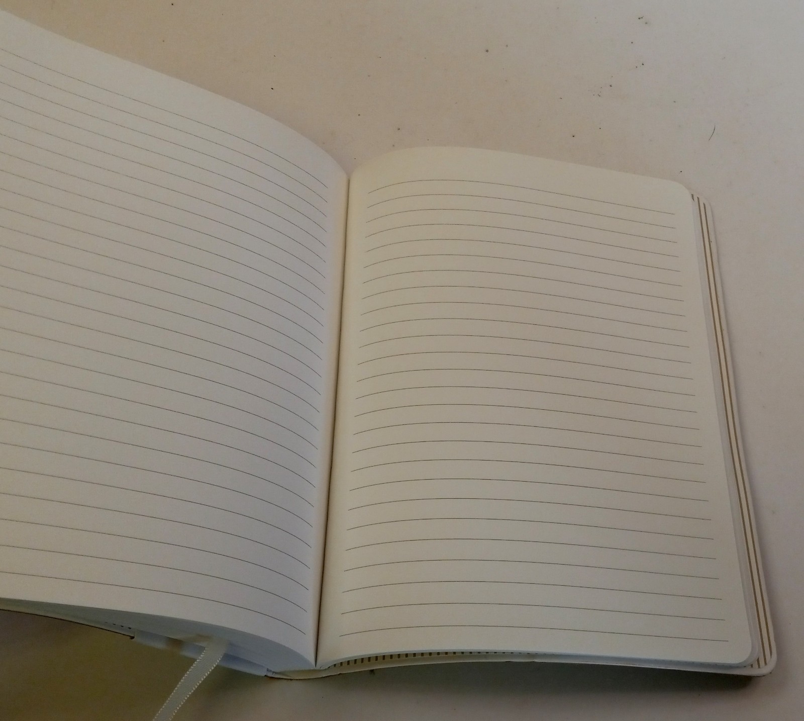 Stone Paper Ruled Journal 6 x 8 inch 160 Pages Pen+Gear Blank