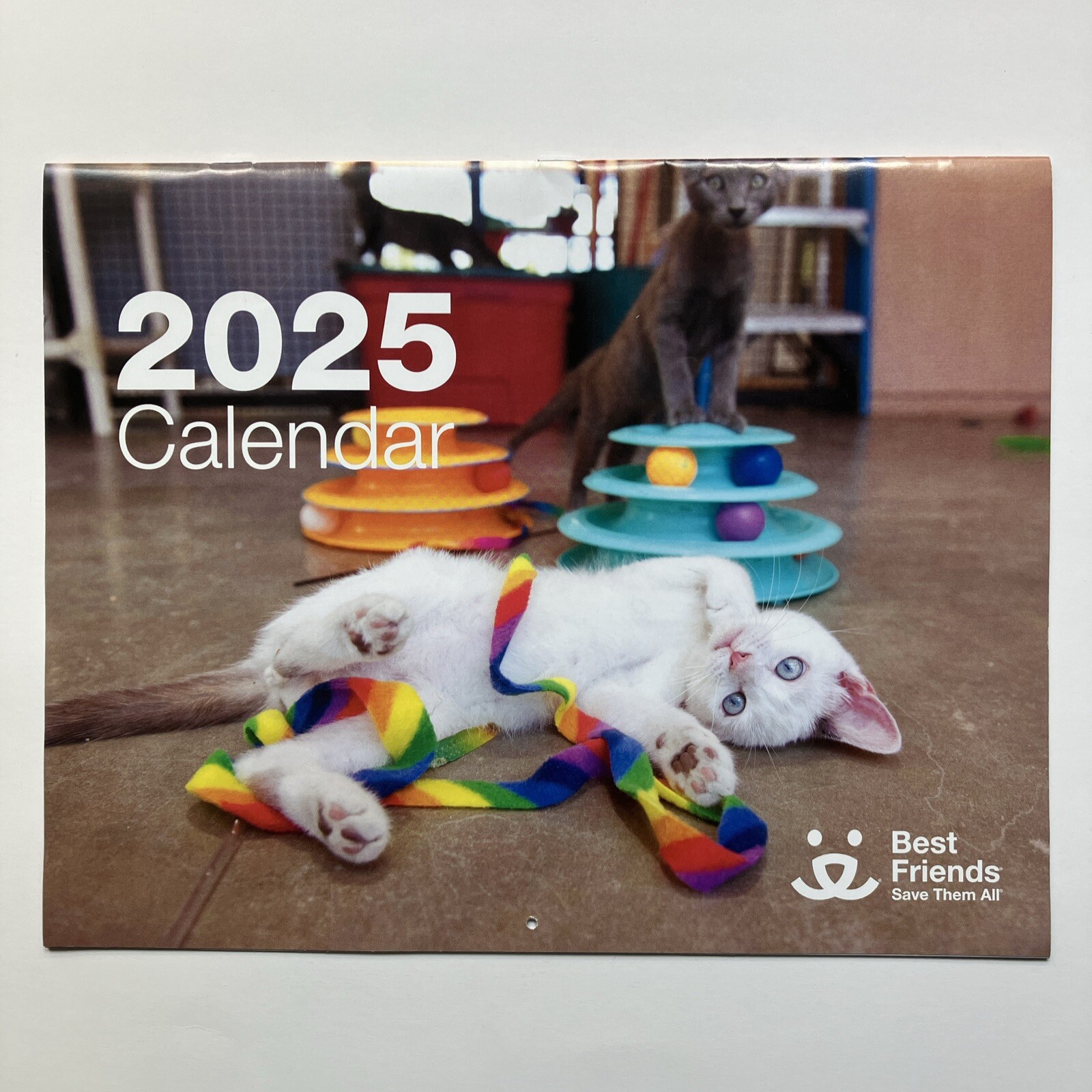 Best Friends Save Them All 16 Month Planner 2025 Hanging Desk Calendar Animals