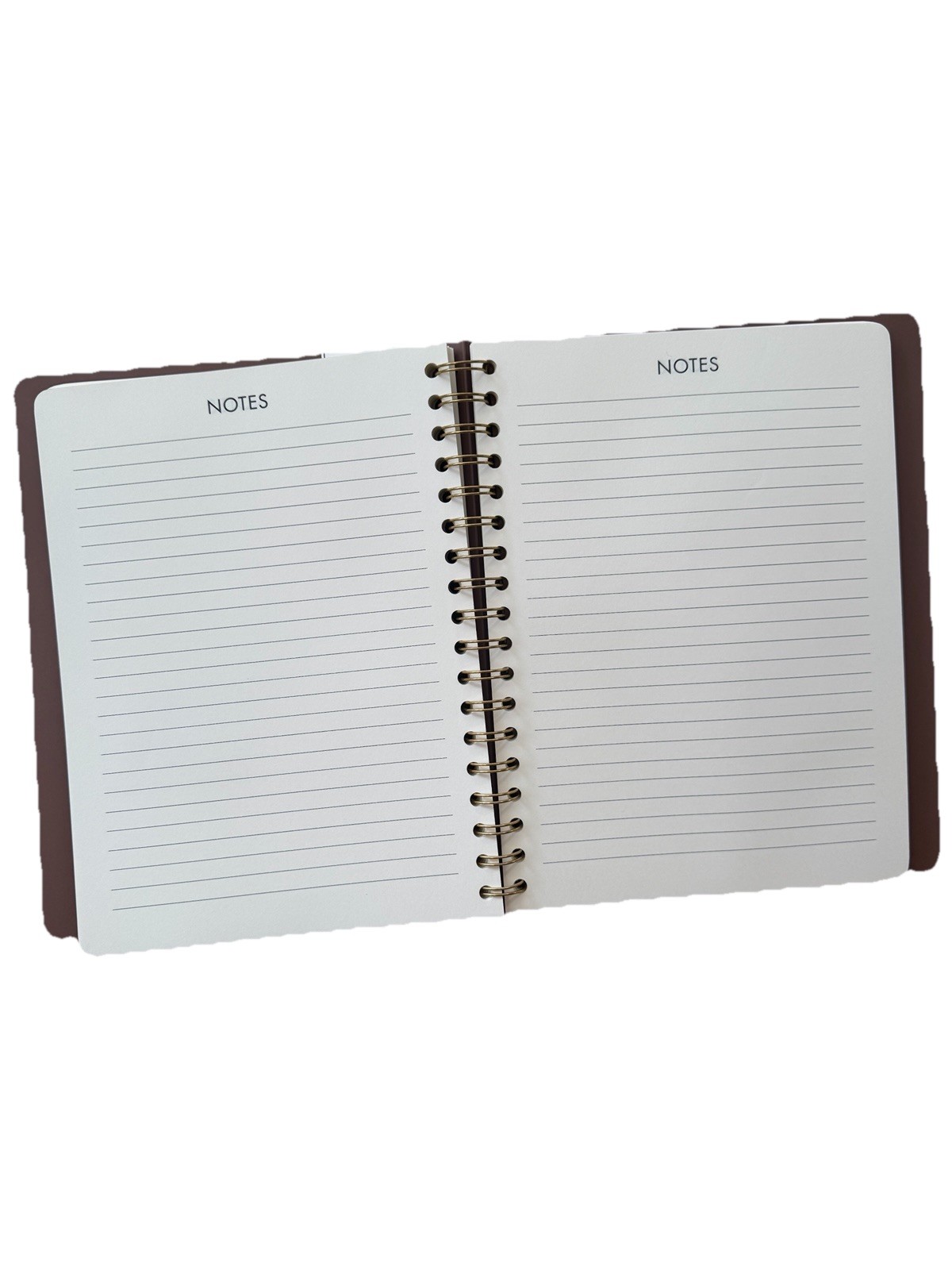 Lady Jayne Monthly & Weekly Planner 12 Months Jan-Dec 2026 Monthly, Weekly Blue