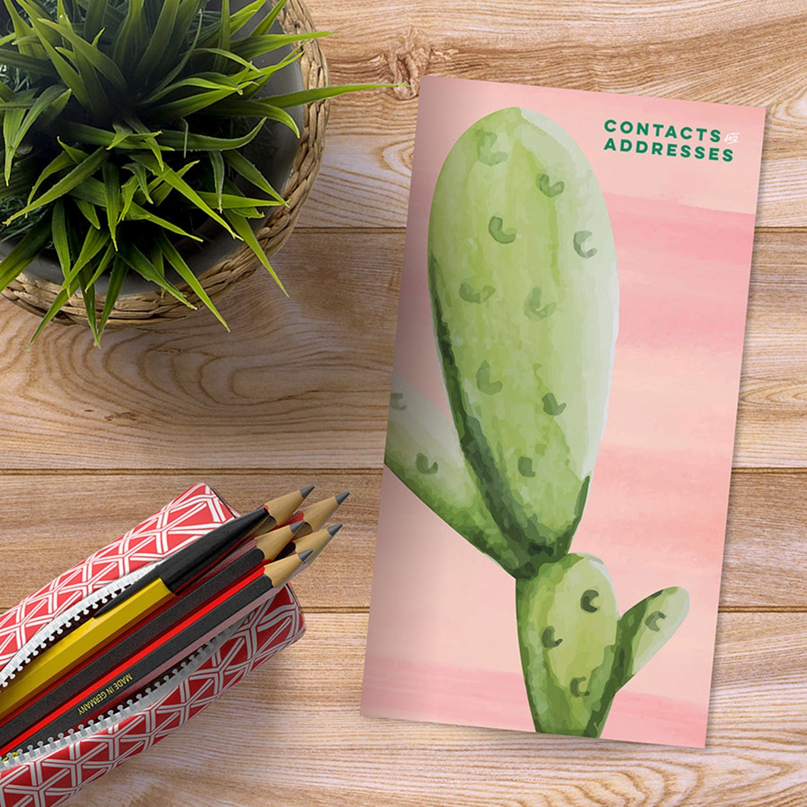 TF PUBLISHING – Cactus Address Book 60 Lined Pages – 3.5” x 6.5”