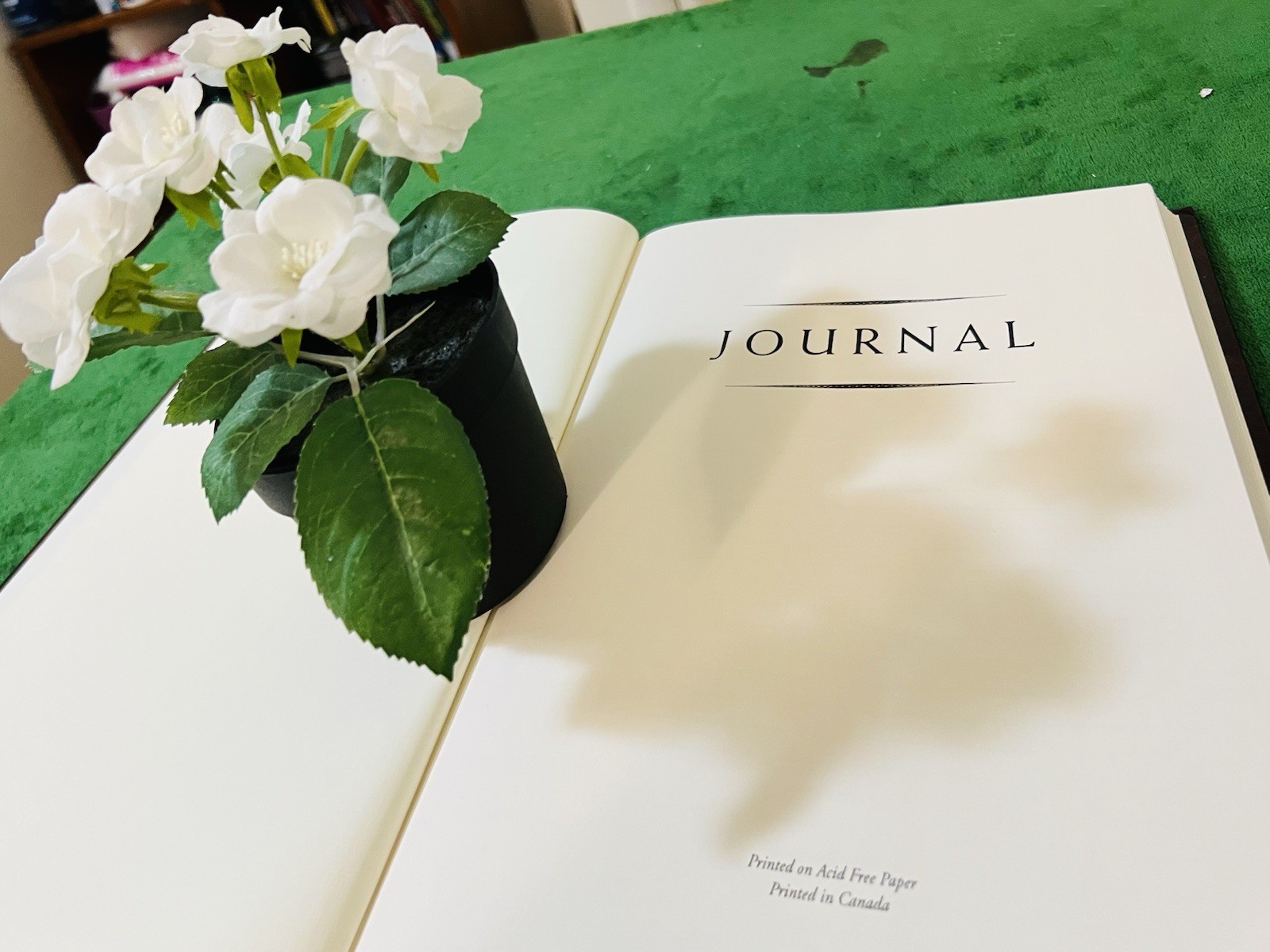Daily Journal Hardcover Blank Journal Acid Free Paper, Notebook