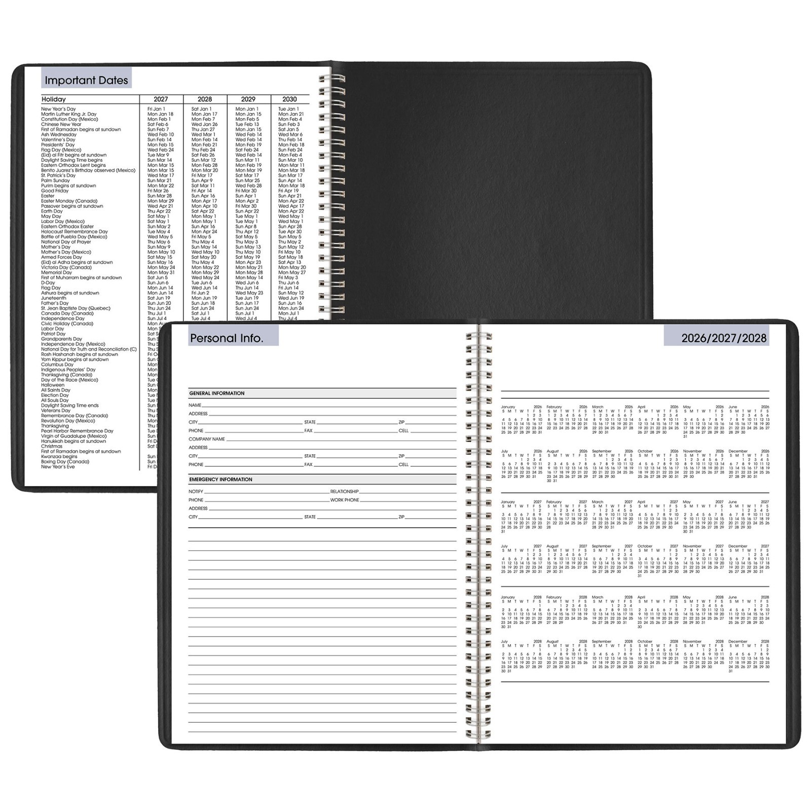 2026 At-A-Glance DayMinder G520-00 Weekly Appointment Book, 8 x 11″, Black Cover