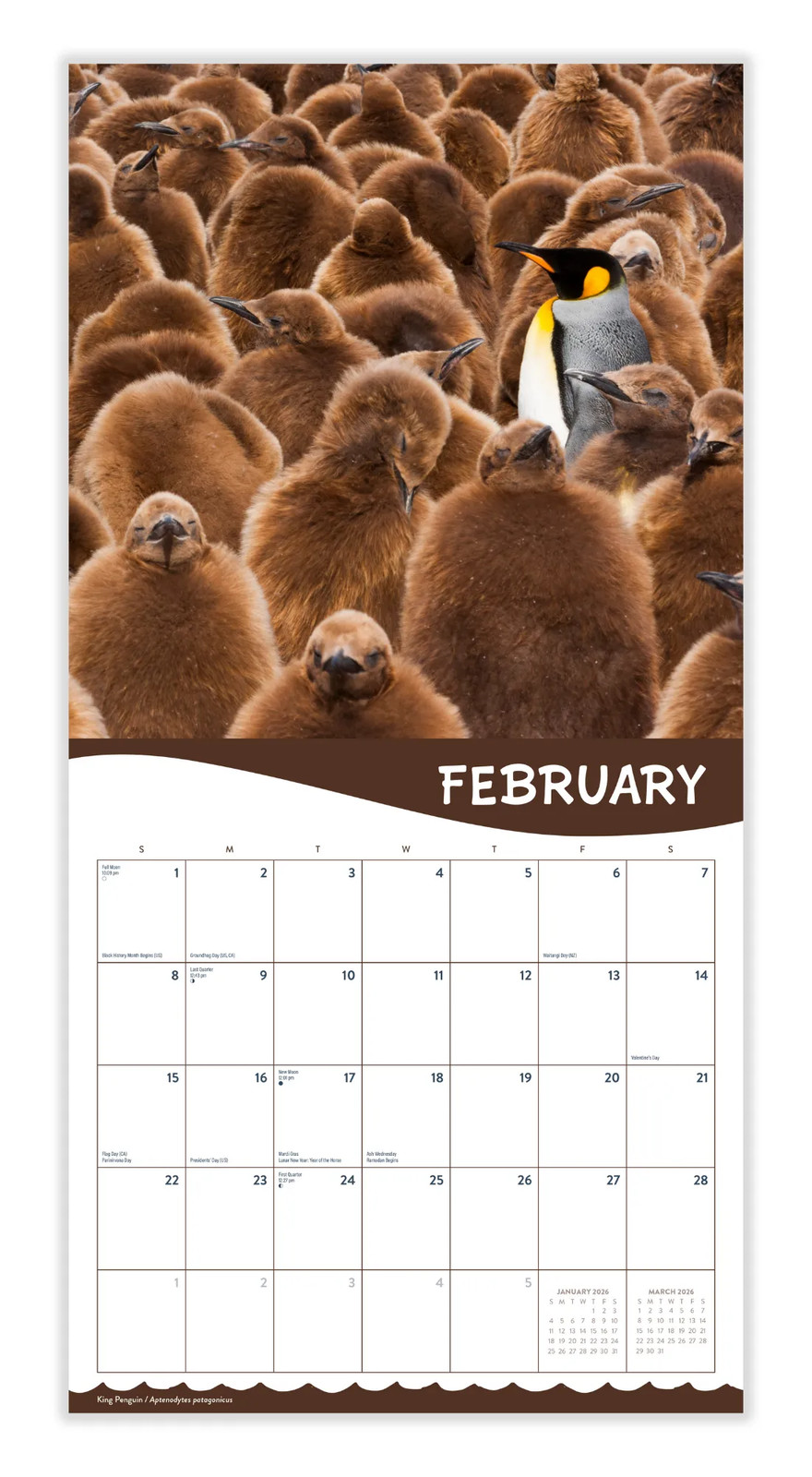 Penguins 2026 | 12″ x 24″ Cute Penguins Calendar 12 Month | Marble City Press