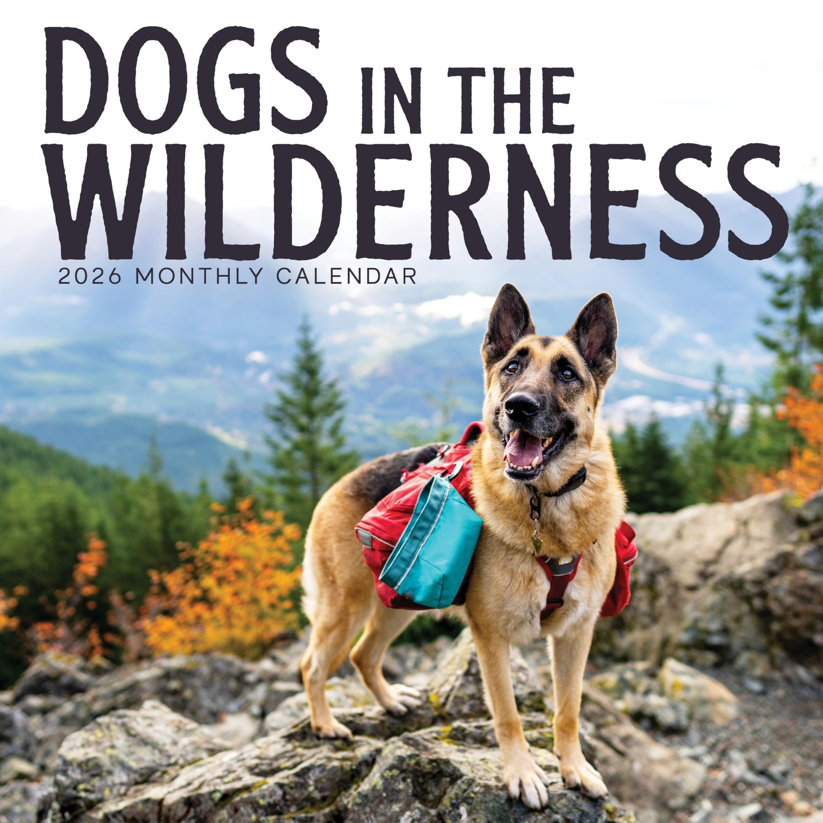 Dogs in the Wilderness 2026 Calendar | 2026 Wall 12″W x 12″H, 2026