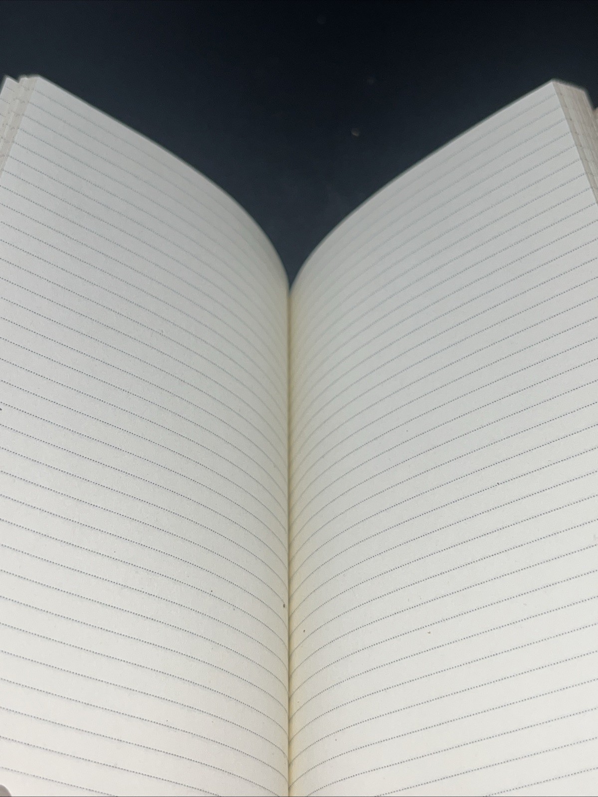 2 Gump’s Italian Leather Champagne Pocket Notebooks 6.5×3.5”