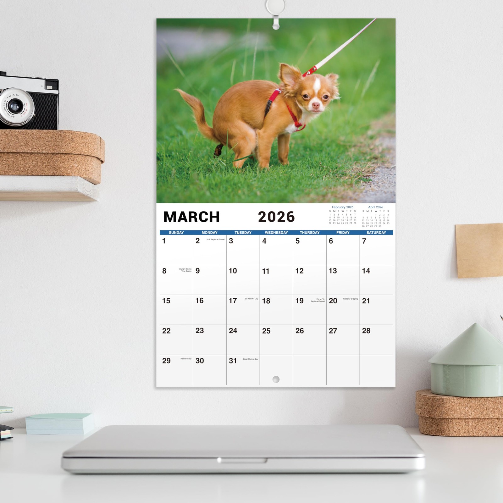 2026 Funny Calendar – Gag Gifts, Dogs Pooping Calendar 2026, 11″ x 17″ (Open), J