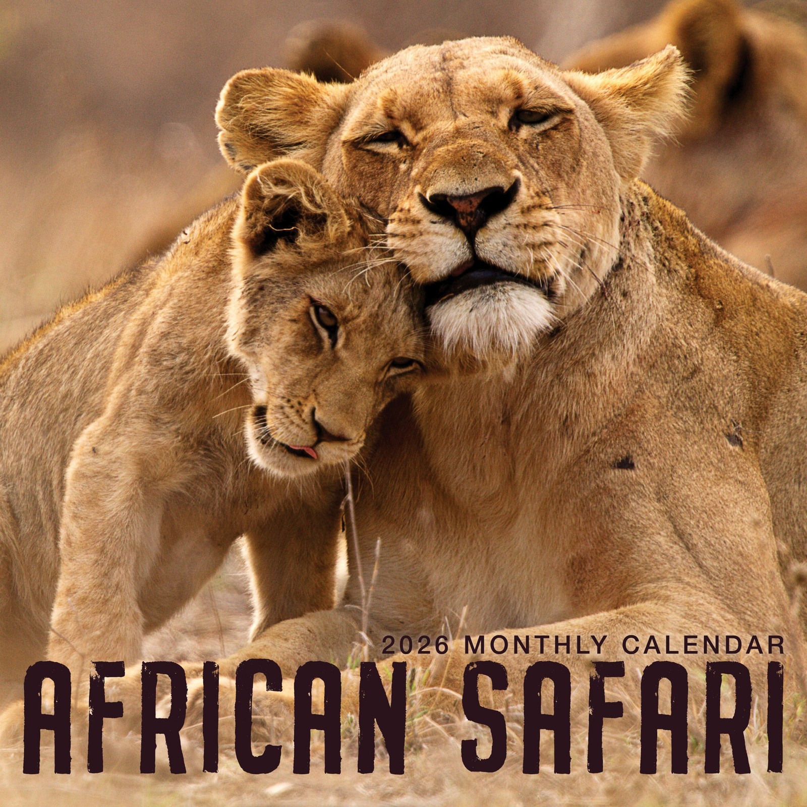 Safari Calendar 2026 | 12×24″ 12 Months | Marble City Press