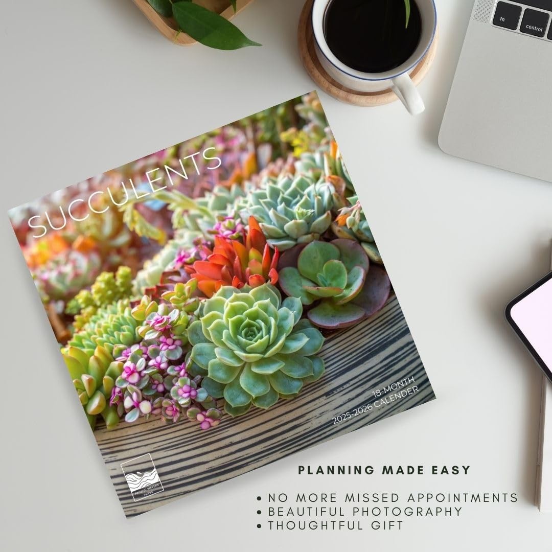 2026 Succulents Wall Calendar 18 Month | 12″ x 24″ Open | 12 x 12, Succelents