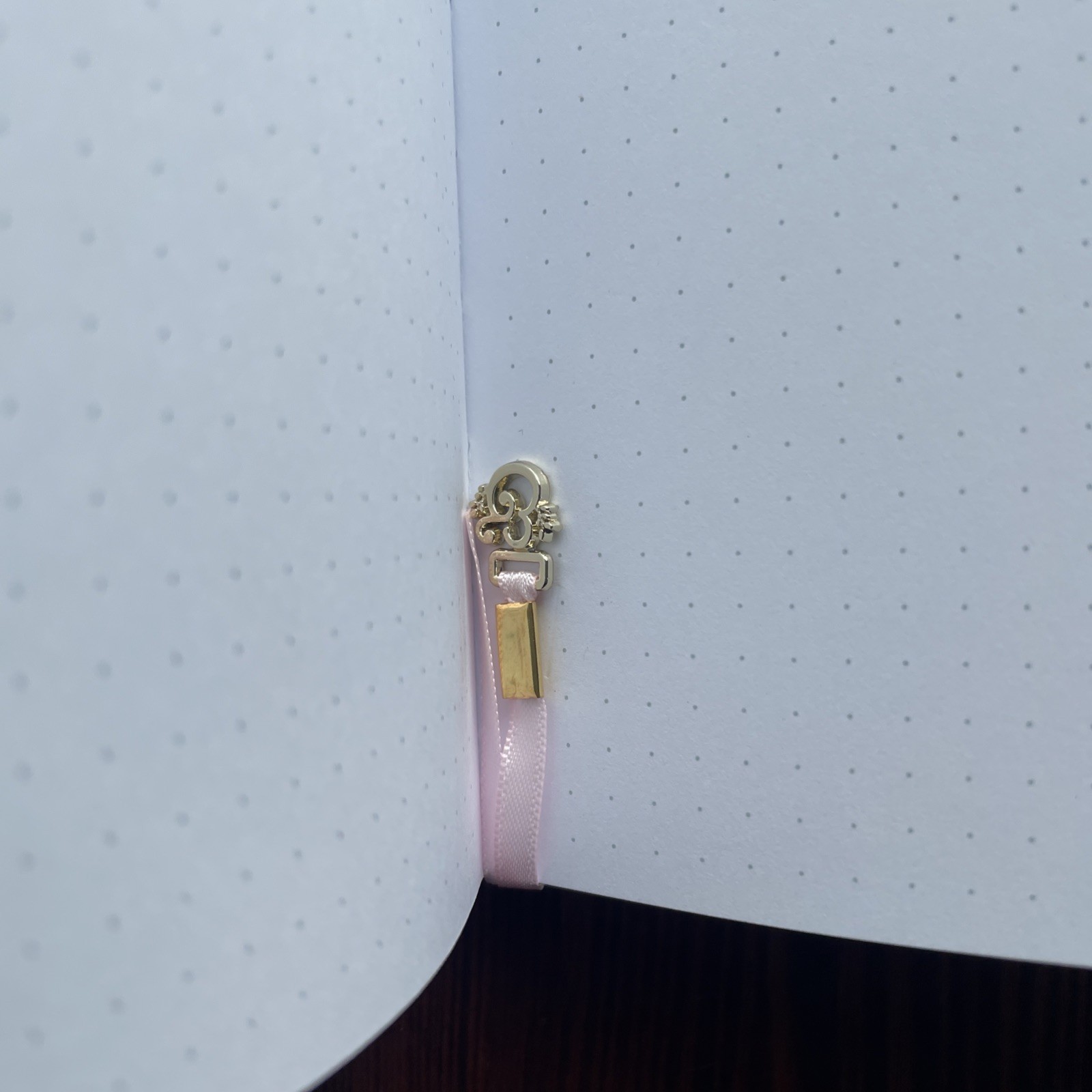 Archer & Olive A5 Dot Grid Notebook STARLET Mar 2026 Subscription Box Lt Pink