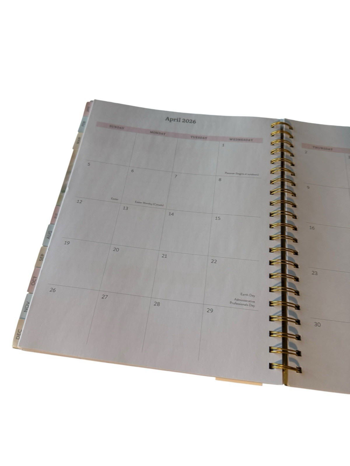 New Designer Papers Ultimate Planner Pastels Tab Dividers 11 X 8.5 Weekly View