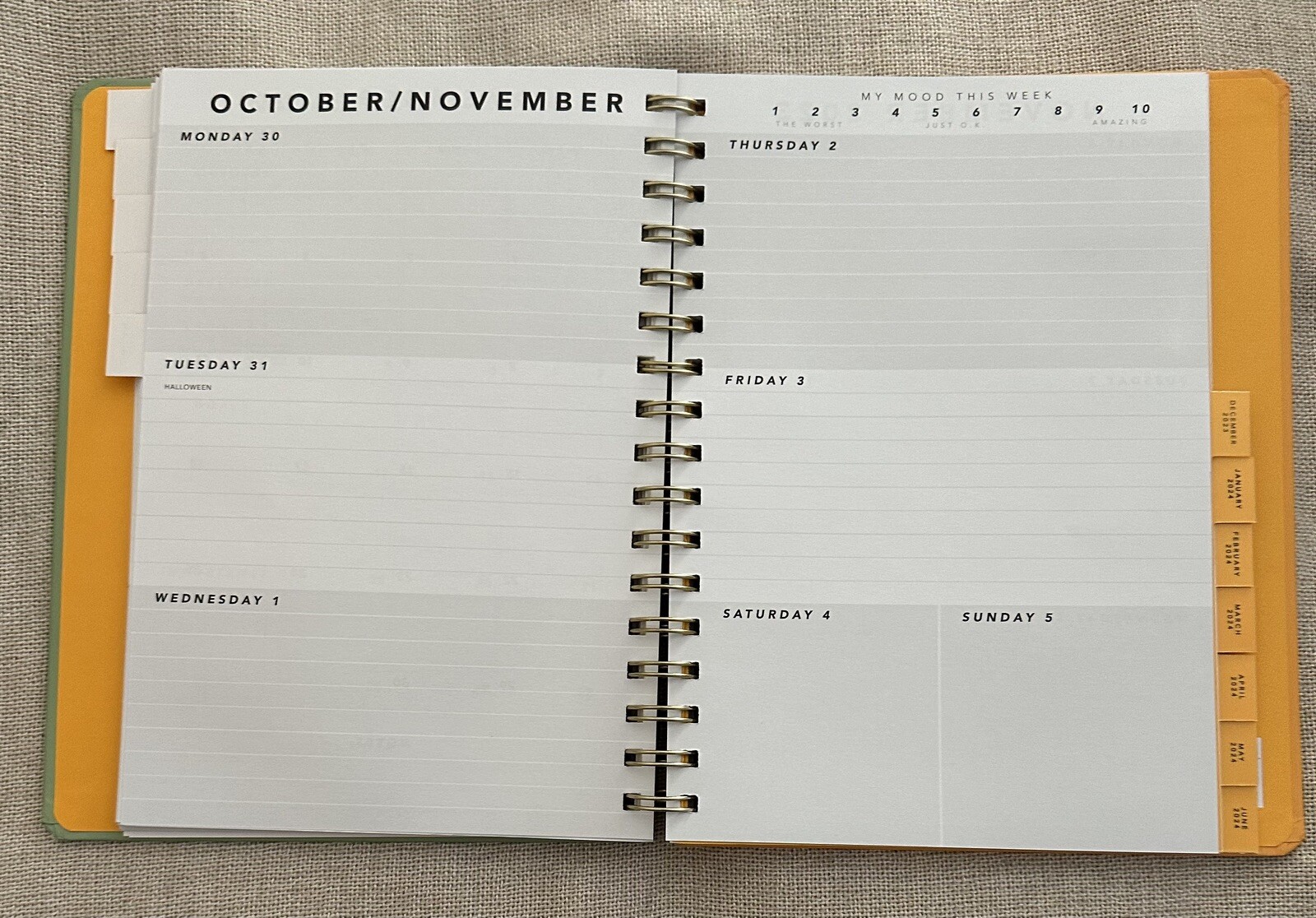 Be Rooted 2023 -2024 Academic Planner 8.5″x11″ Week & Month