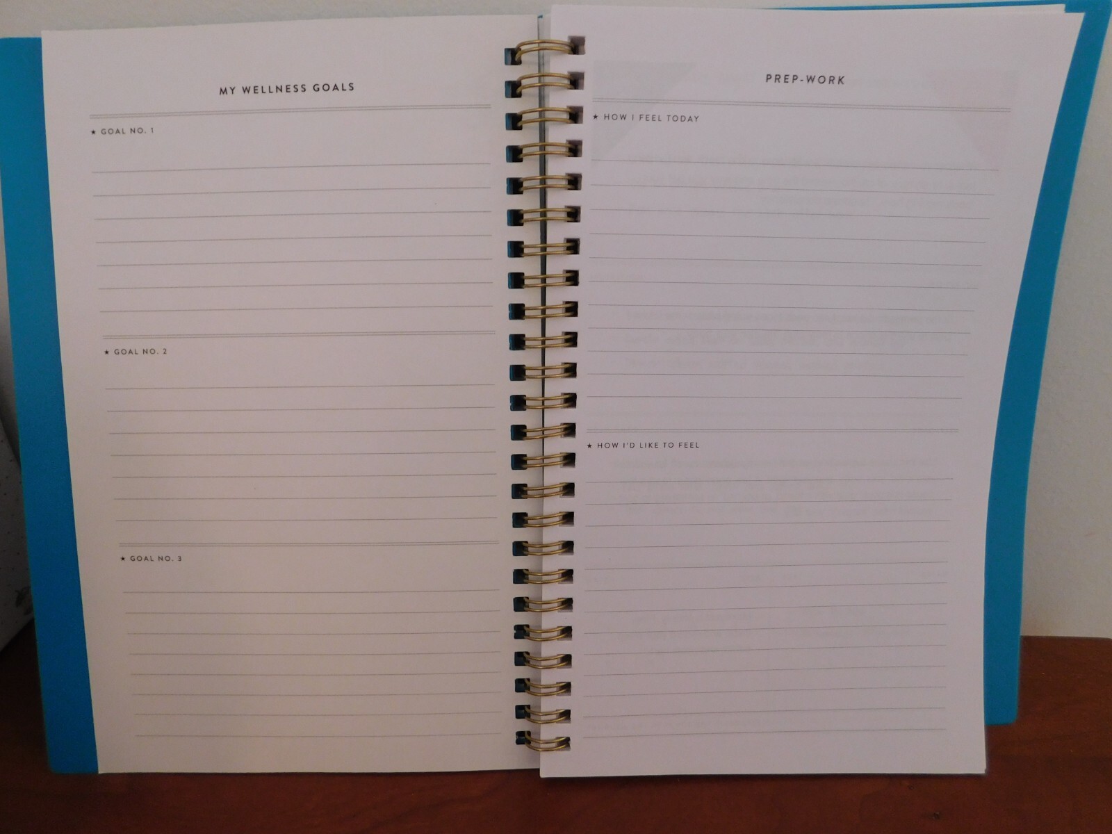 Simplified by Emily Ley Wellness Journal “This is My Year” + Notepad + Stickers