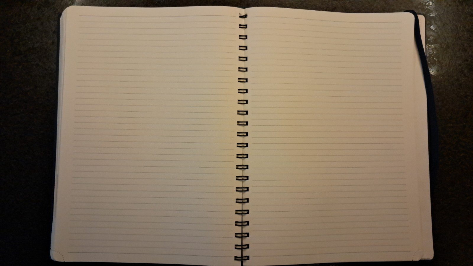 BEZEND Appointment Book 2026 Daily Planner, Quarter-Hourly 8.75″ x 12″ XL