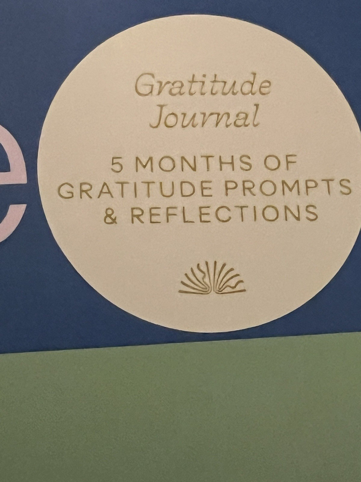 Papier Guided Gratitude Journal – Blue Green Wellness Notebook 9.8”x7.4” 192 Pgs