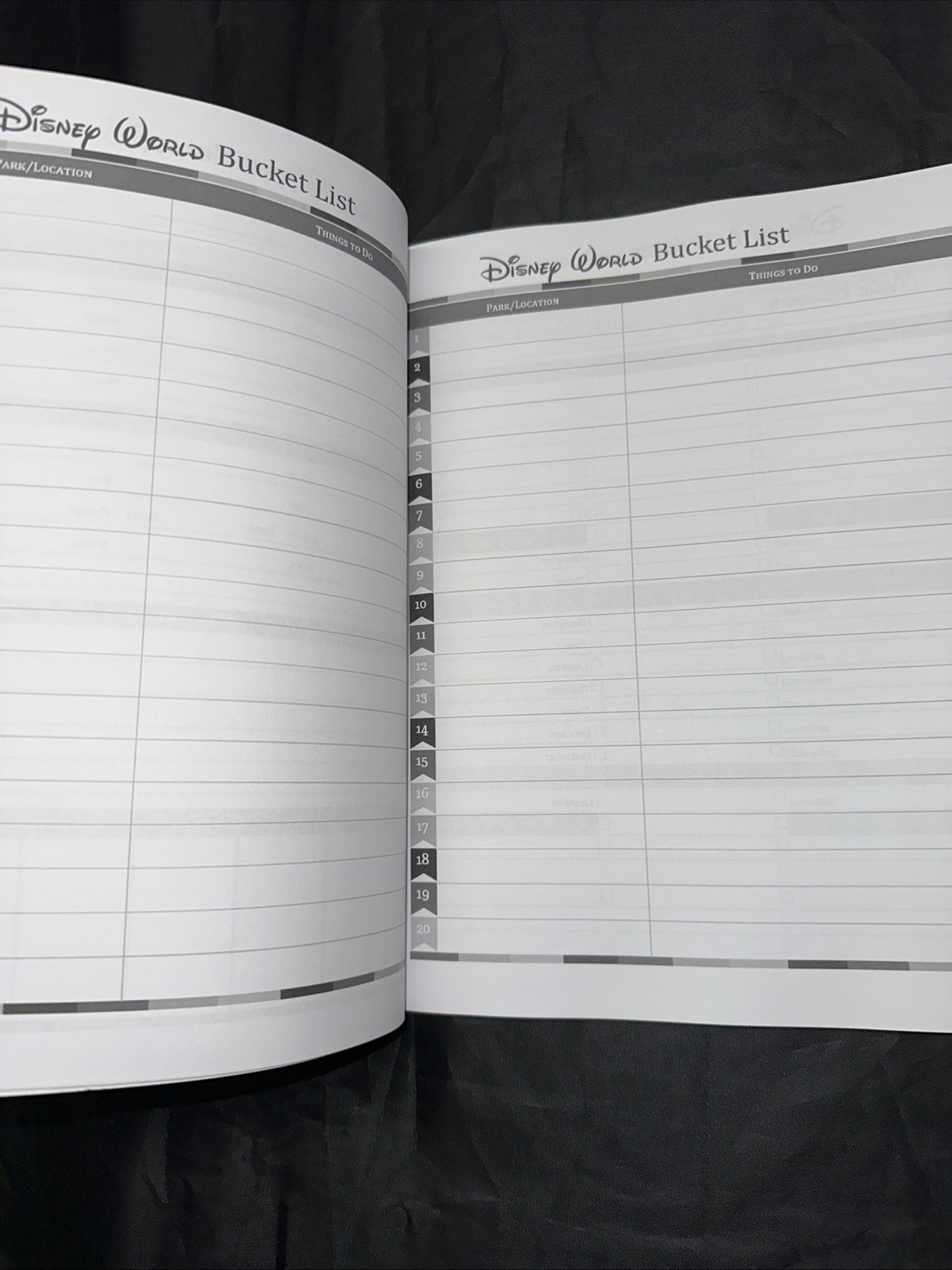 My Walt Disney World Planner Details Activities Timeline Budget Transportation